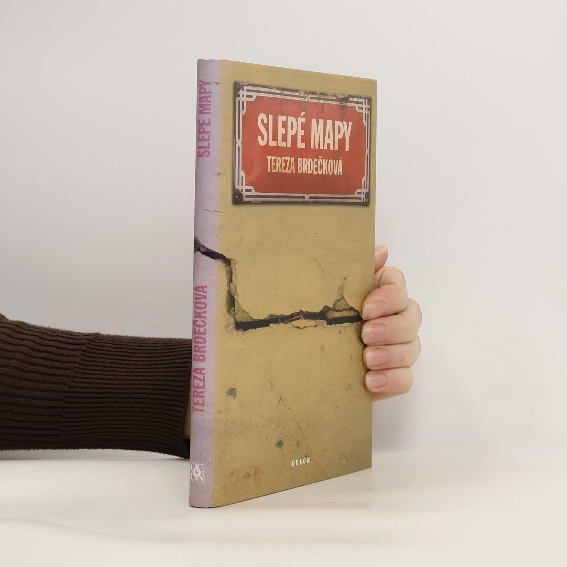 Tereza Brdečková Slepé mapy