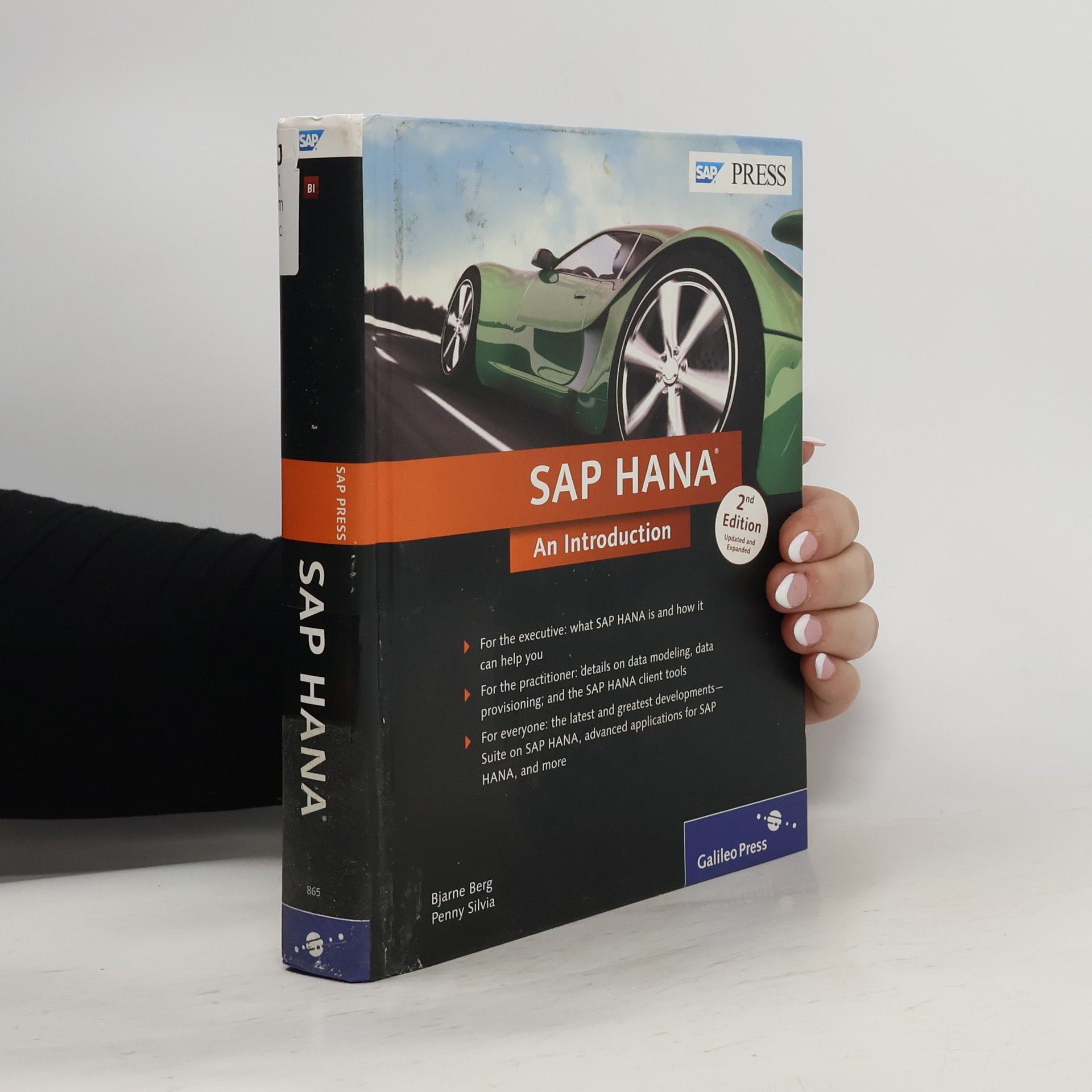 Bjarne Berg SAP HANA