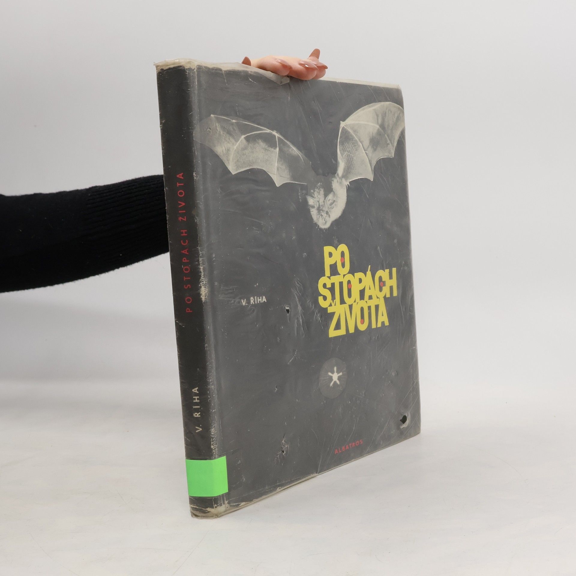 Vítězslav Říha Pe stopách života