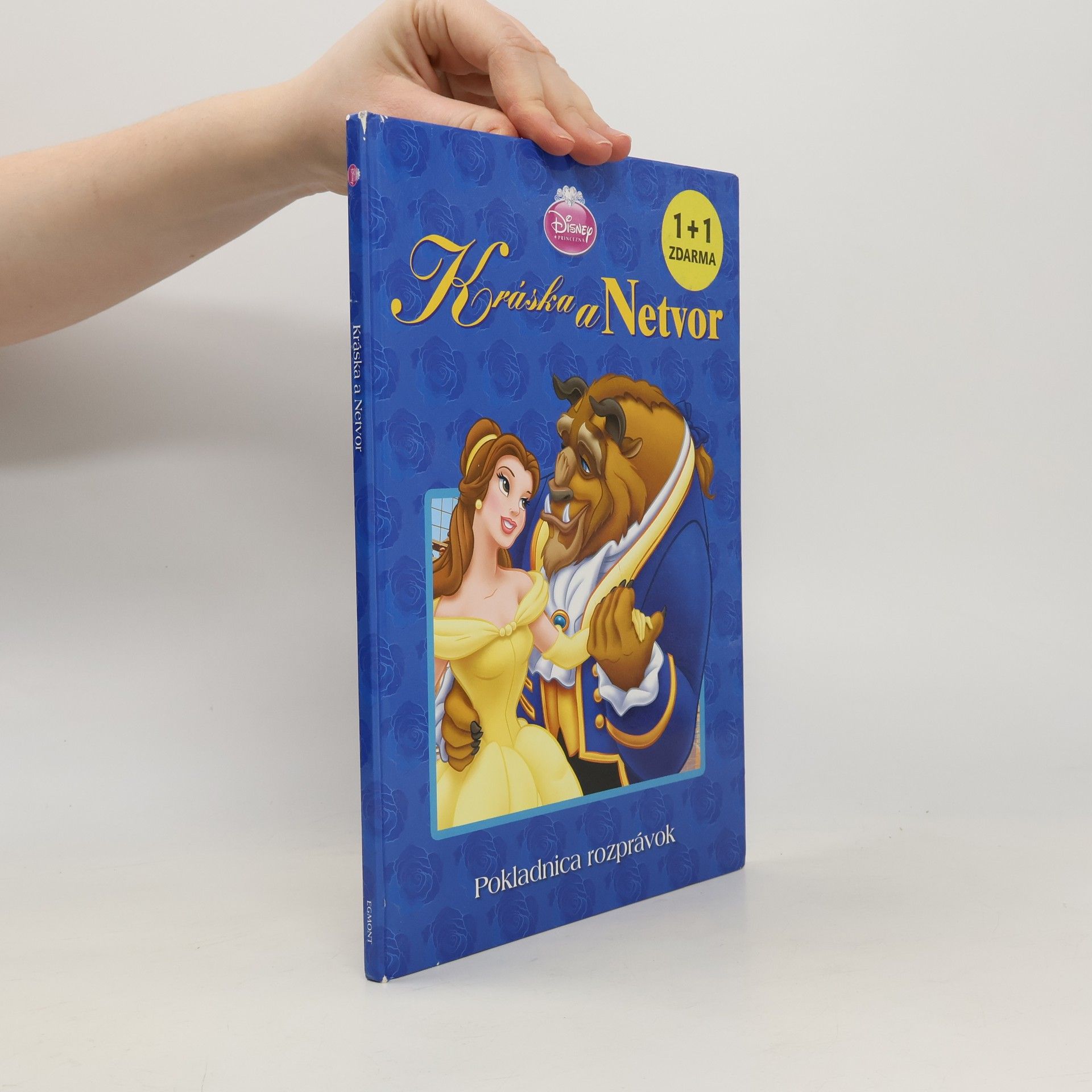 Collectif d'auteurs Kráska a netvor