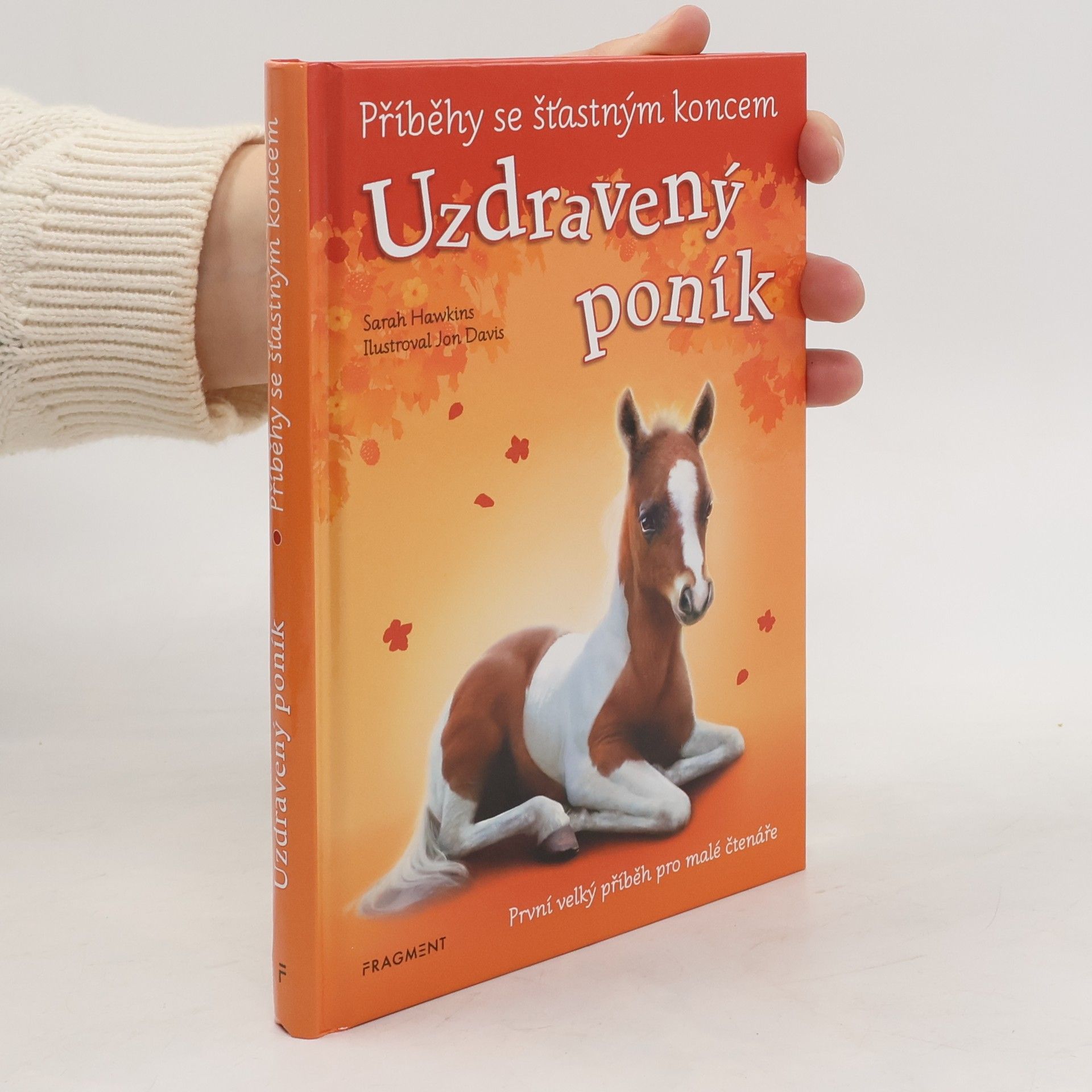 Eva Brožová Uzdravený poník