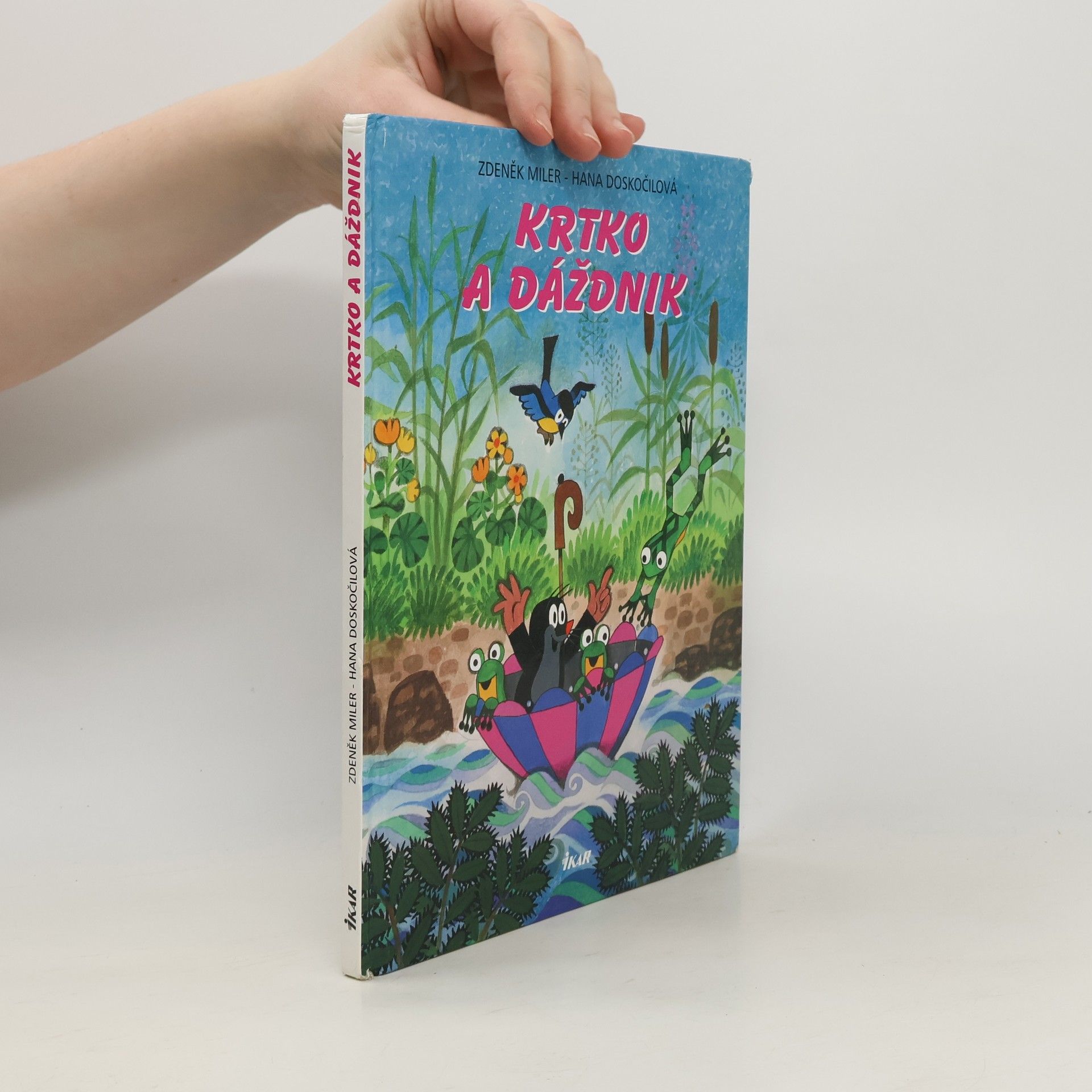 Hana Doskočilová Krtko a dáždnik