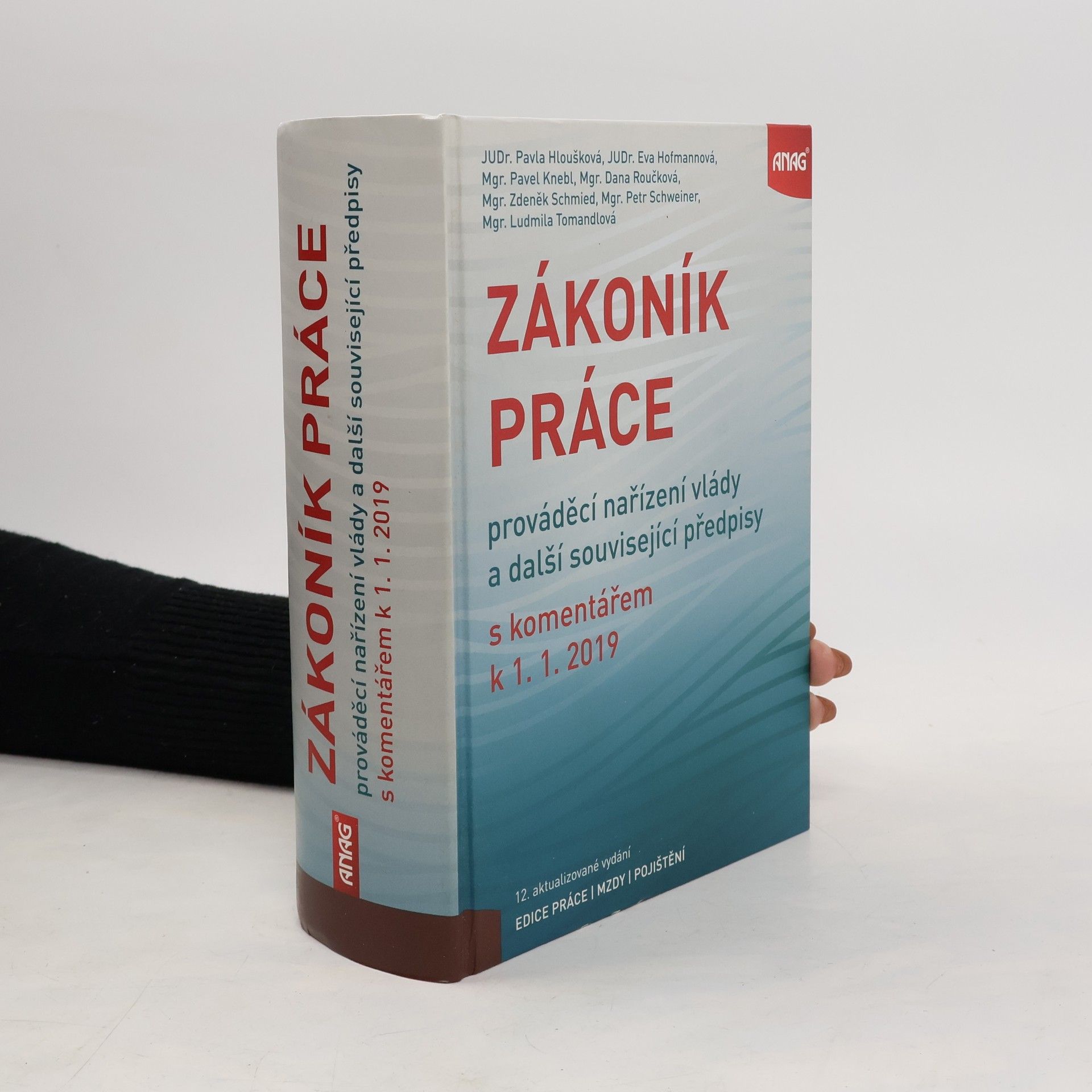 Zákoník práce, prováděcí nařízení vlády a další související předpisy s komentářem 2019