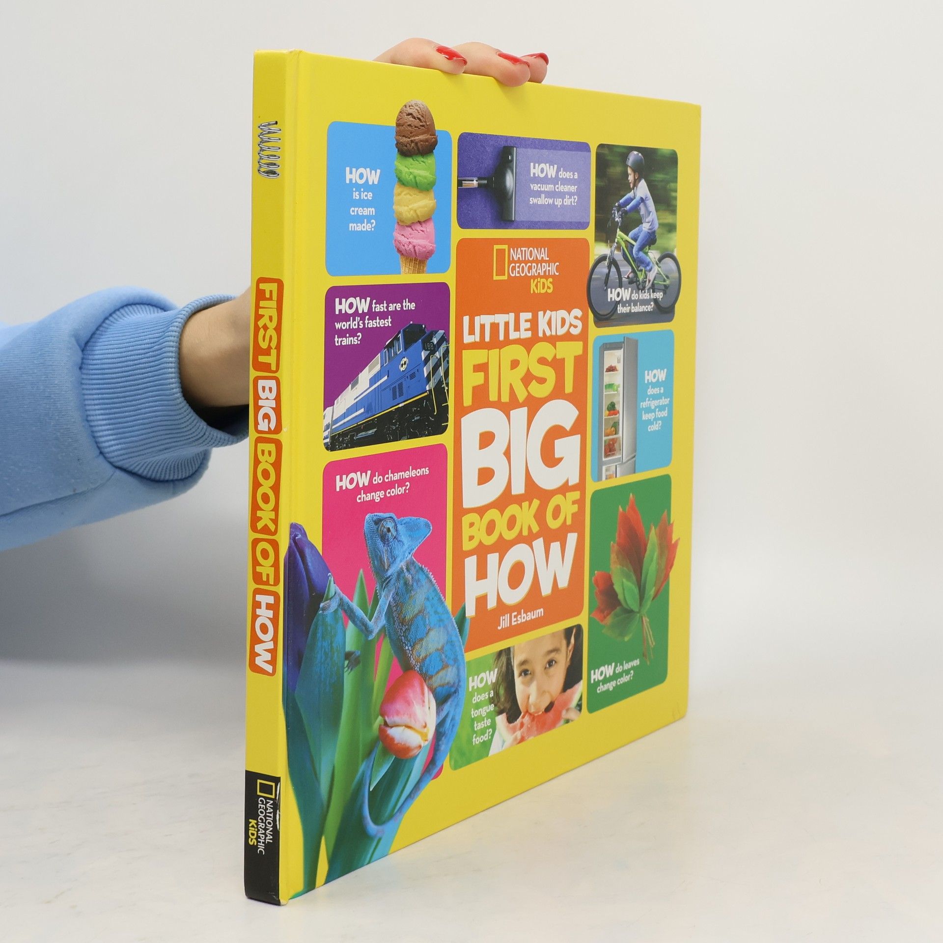 Little Kids First Big Book of How