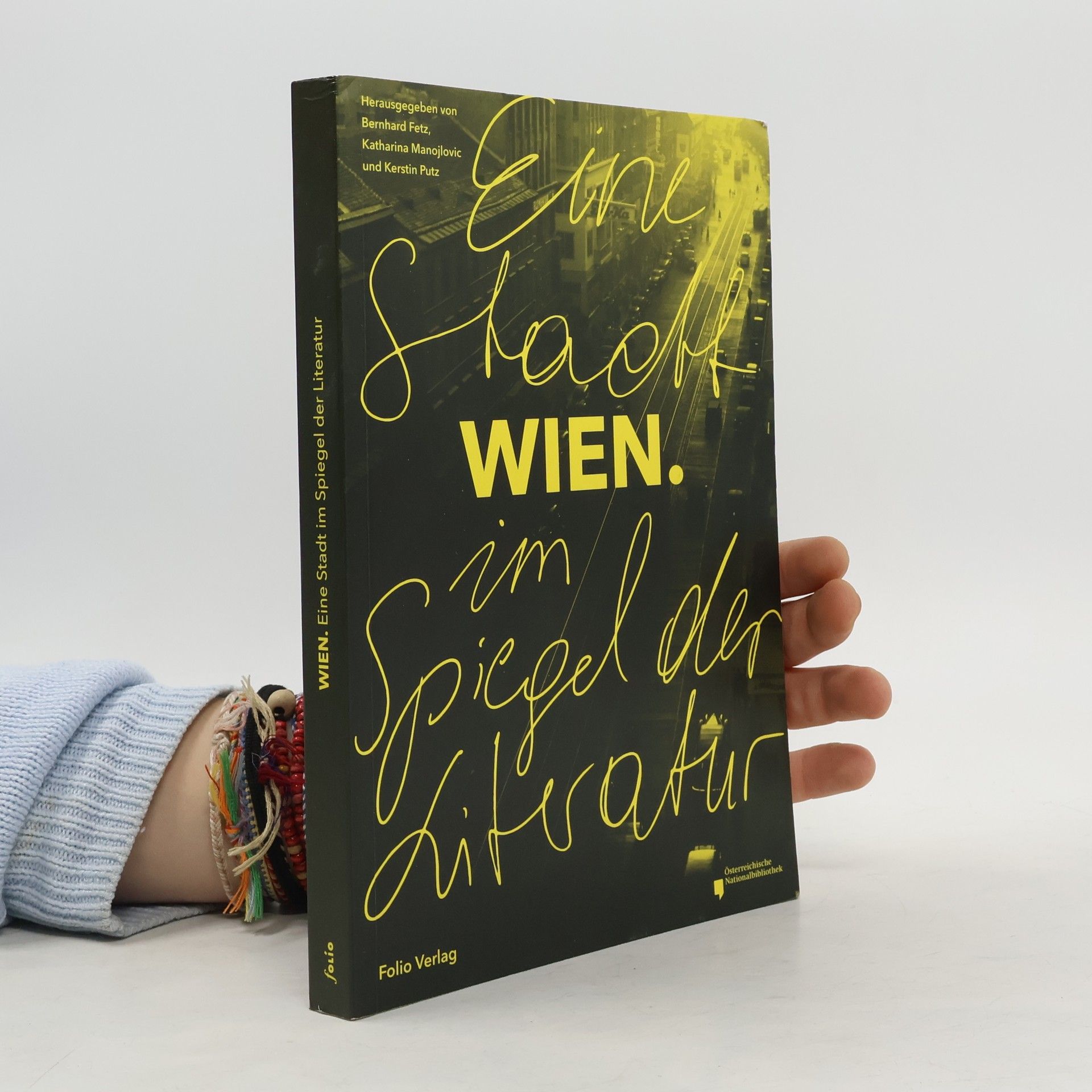 Bernhard Fetz Wien - eine Stadt im Spiegel der Literatur