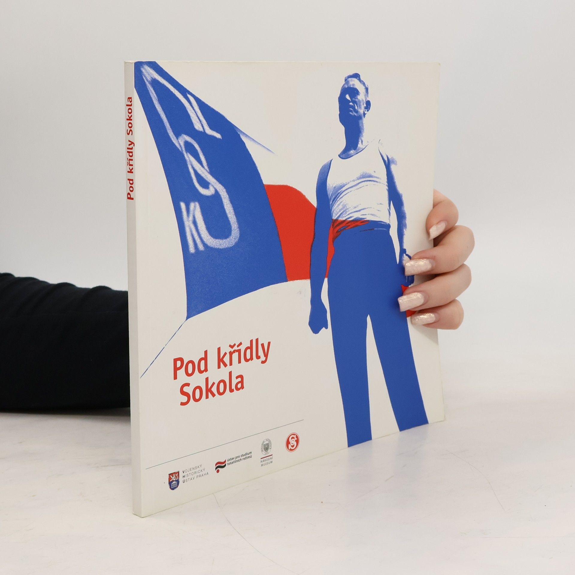 Autores varios Pod křídly Sokola