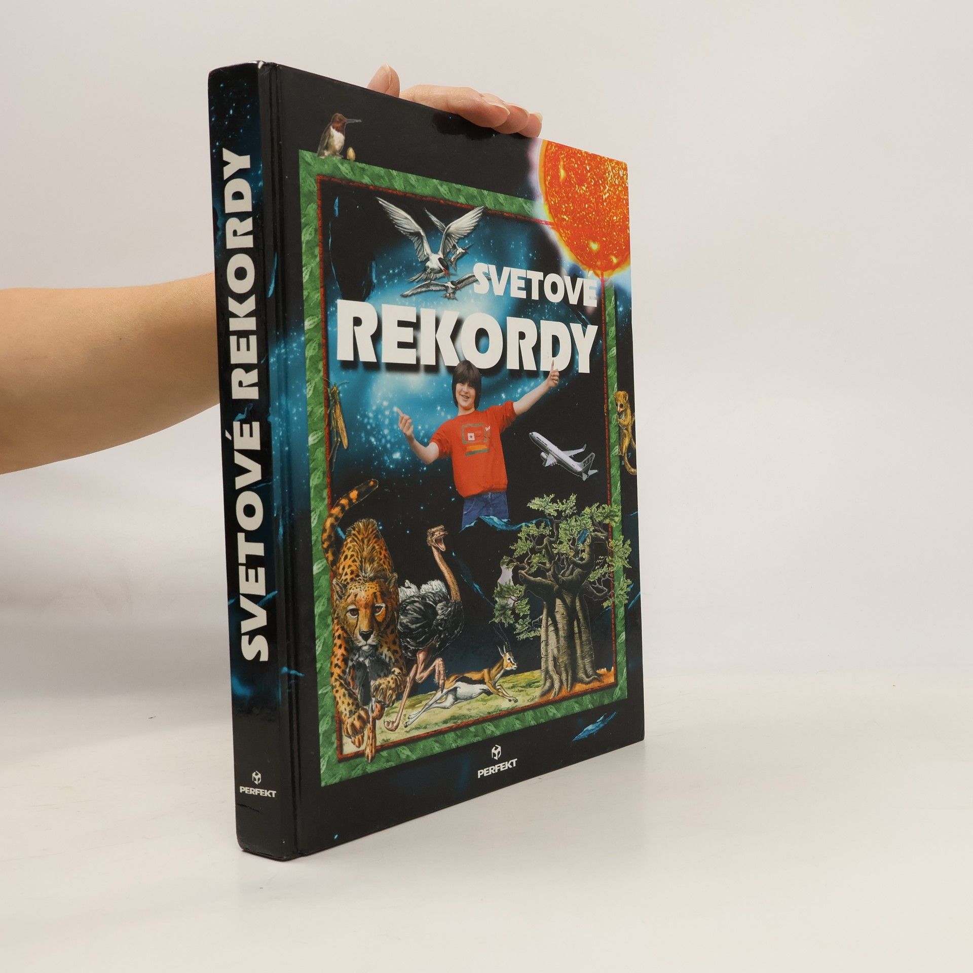 Kolektiv autorů Svetové rekordy