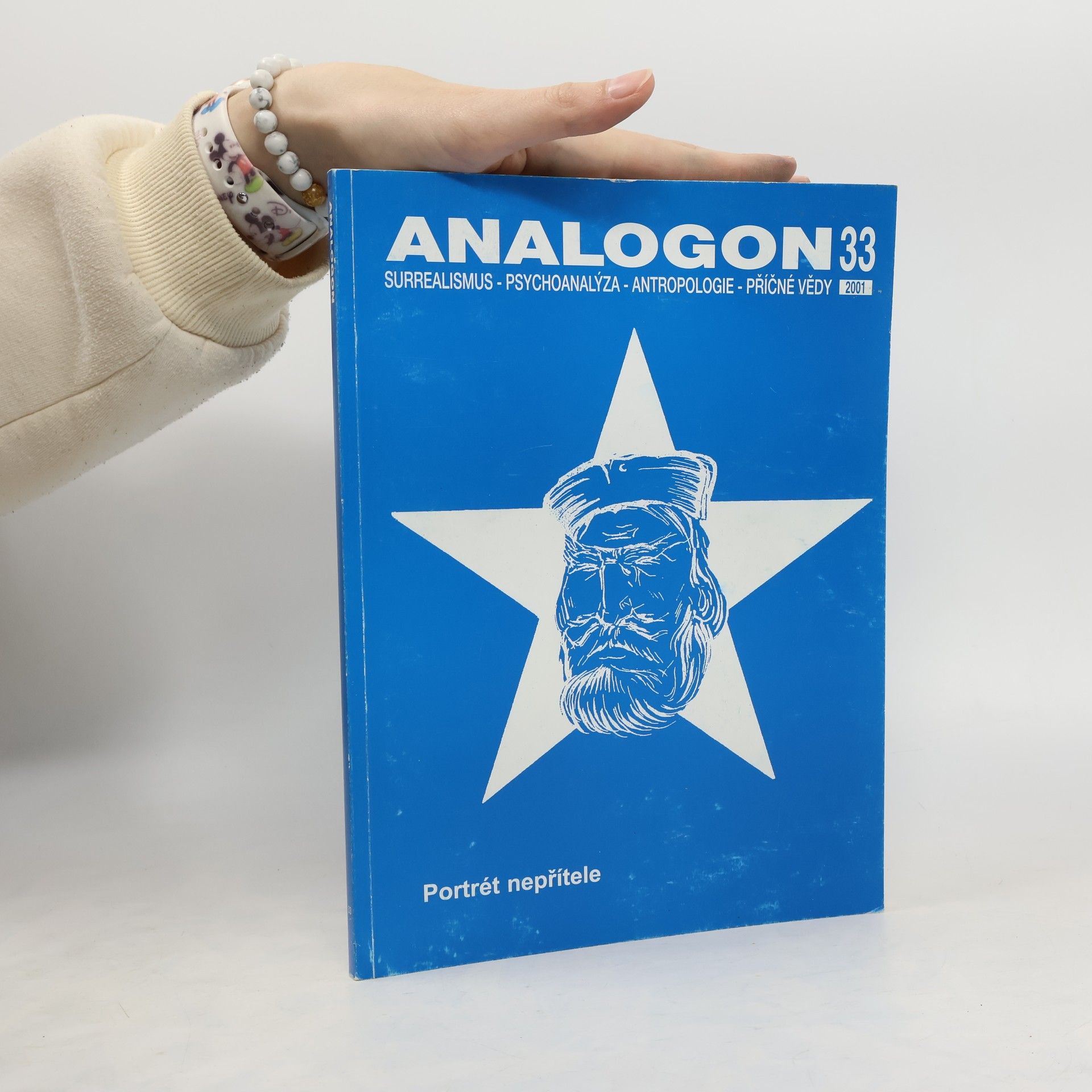 Kolektiv autorů Analogon 33: Portrét nepřítele