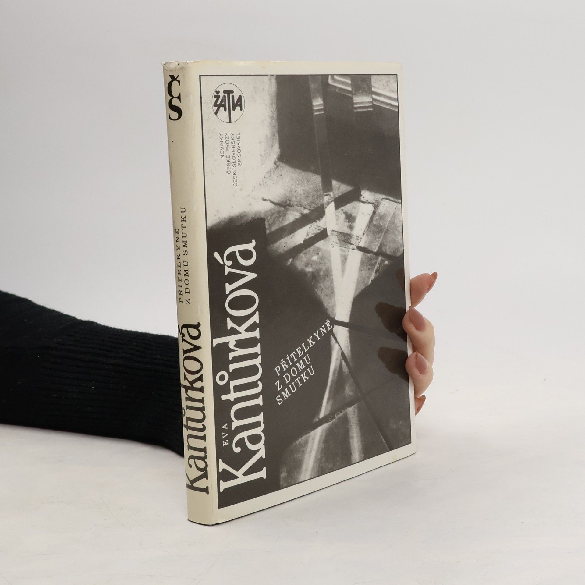 Eva Kantůrková Přítelkyně z domu smutku