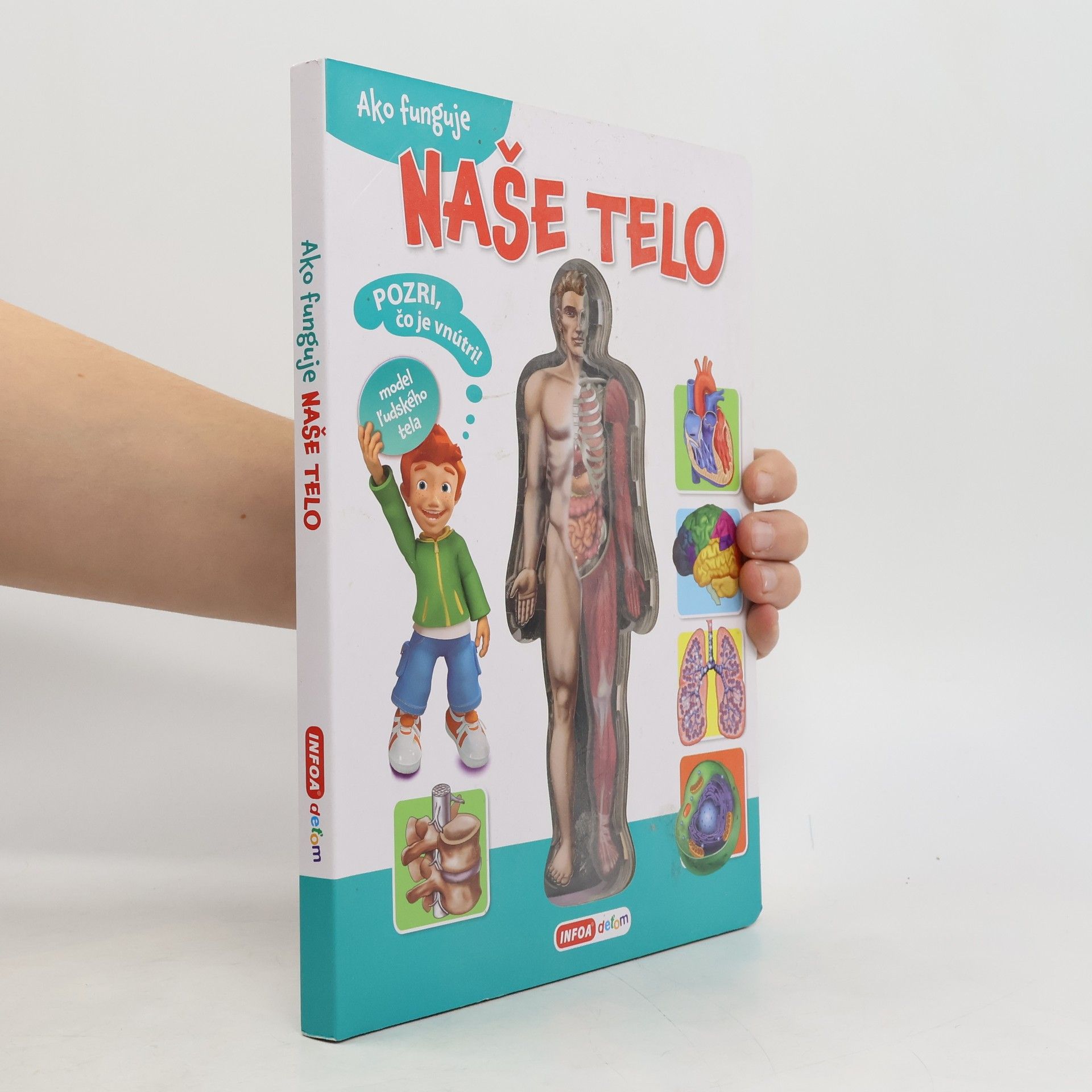 Autorenkollektiv Ako funguje naše telo