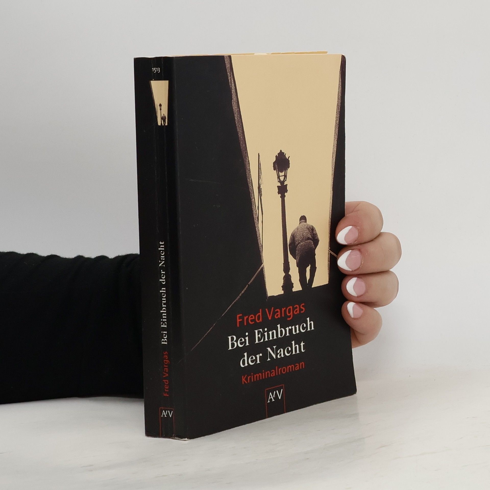 Fred Vargas Bei Einbruch der Nacht