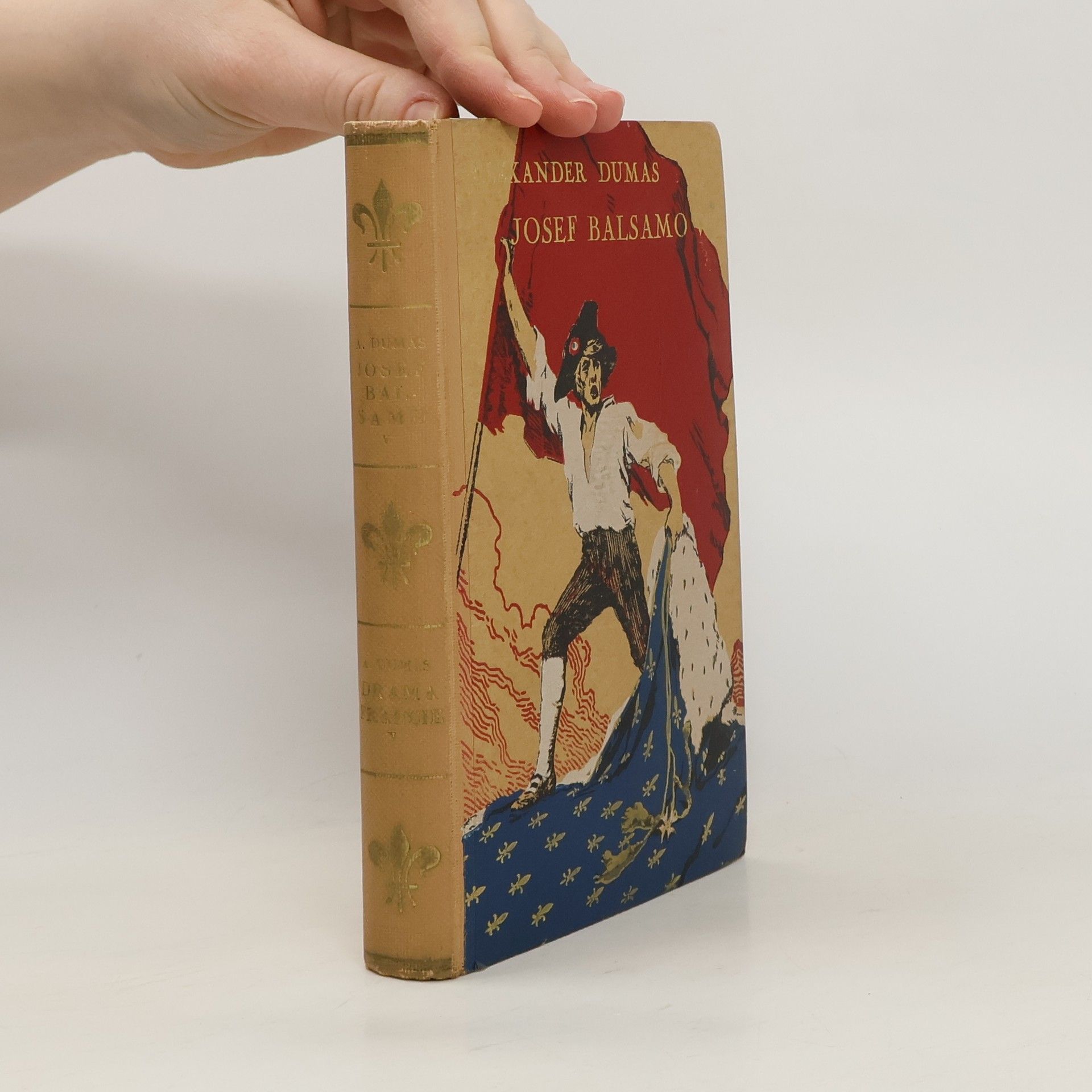 Alexandre Dumas Josef Balsamo. Díl V.