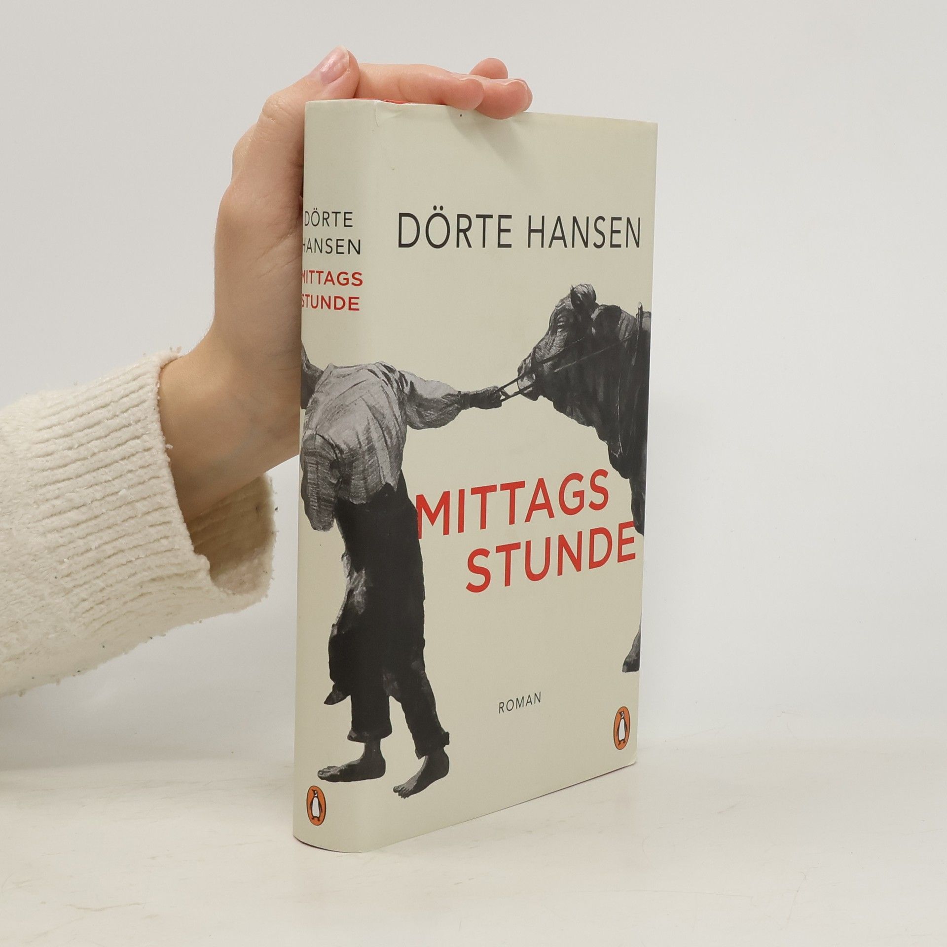 Dörte Hansen Mittagsstunde