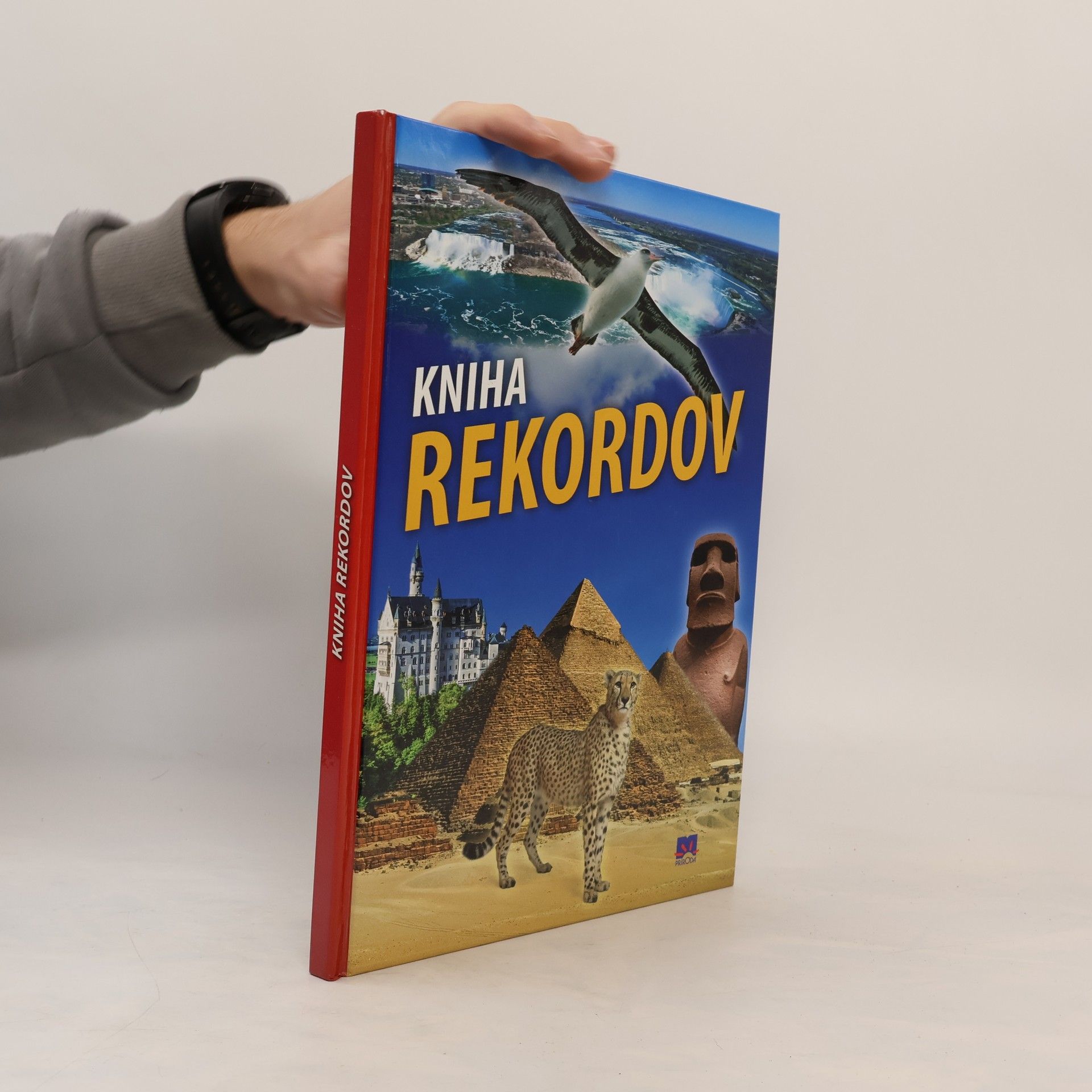 AA.VV. Kniha rekordov