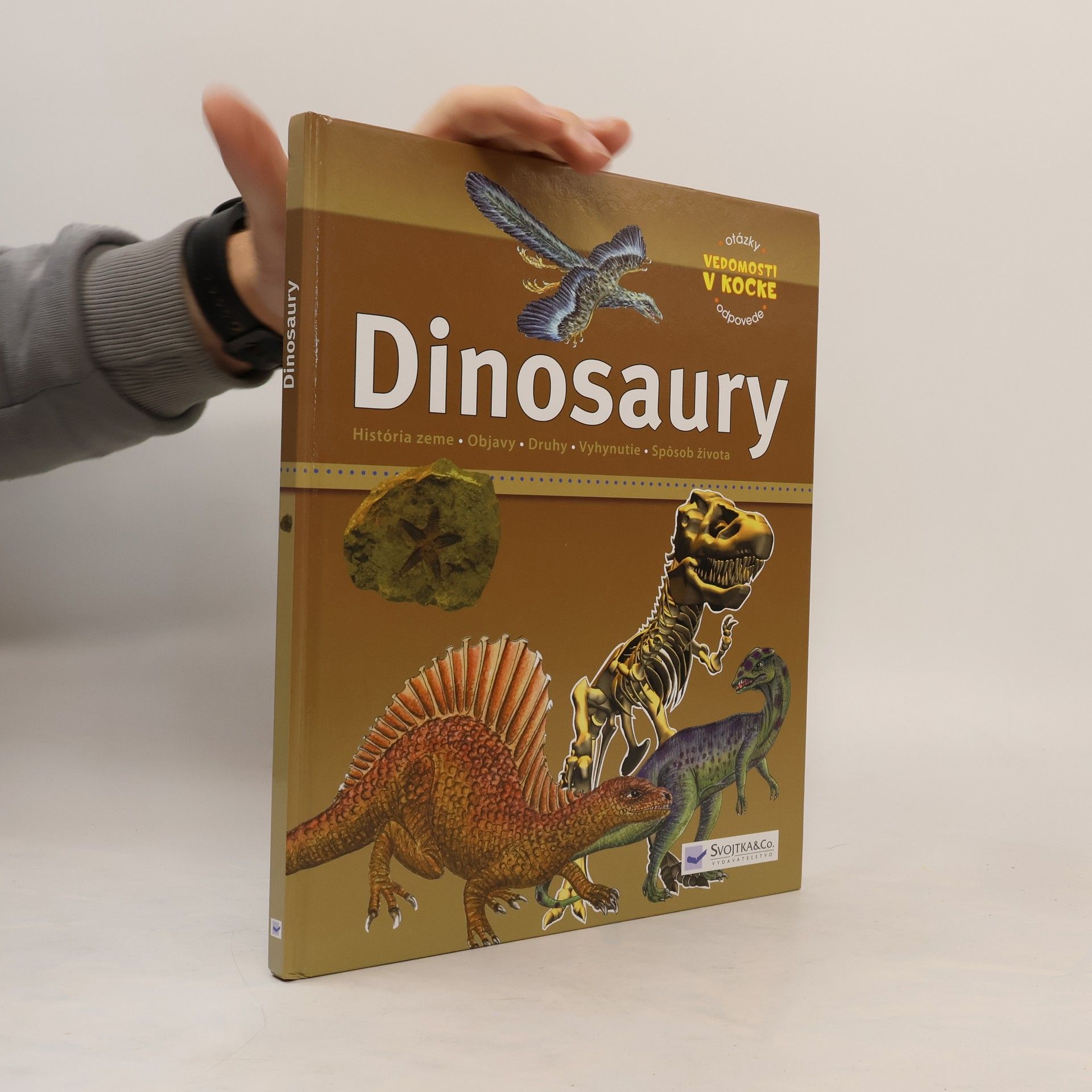 Dinosaury
