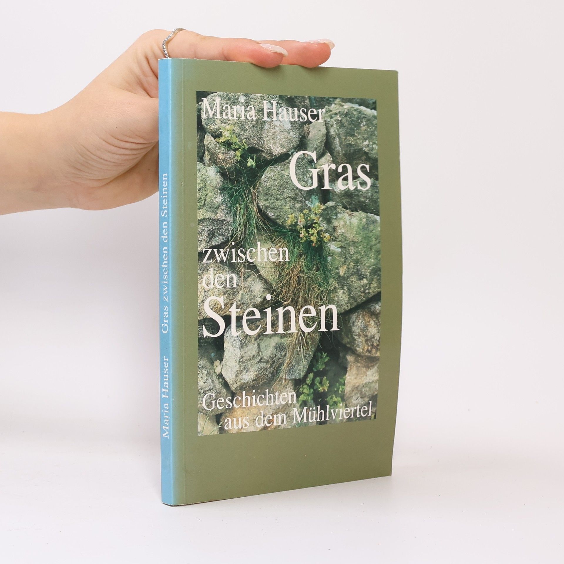 Maria Hauser Gras zwischen den Steinen