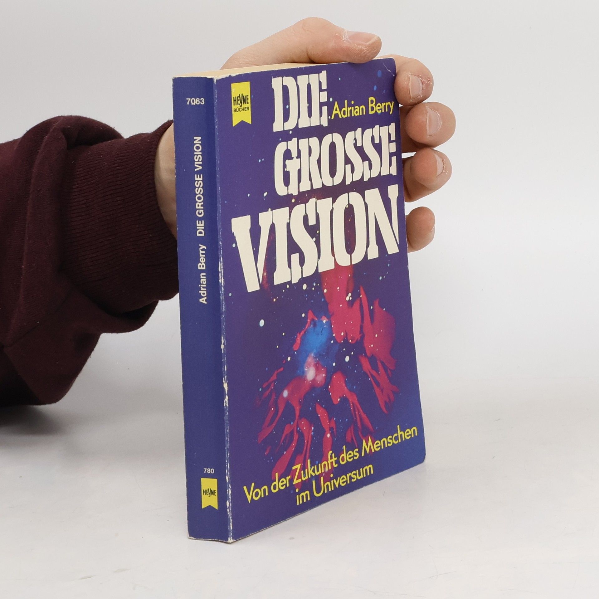 Adrian Berry Die grosse Vision