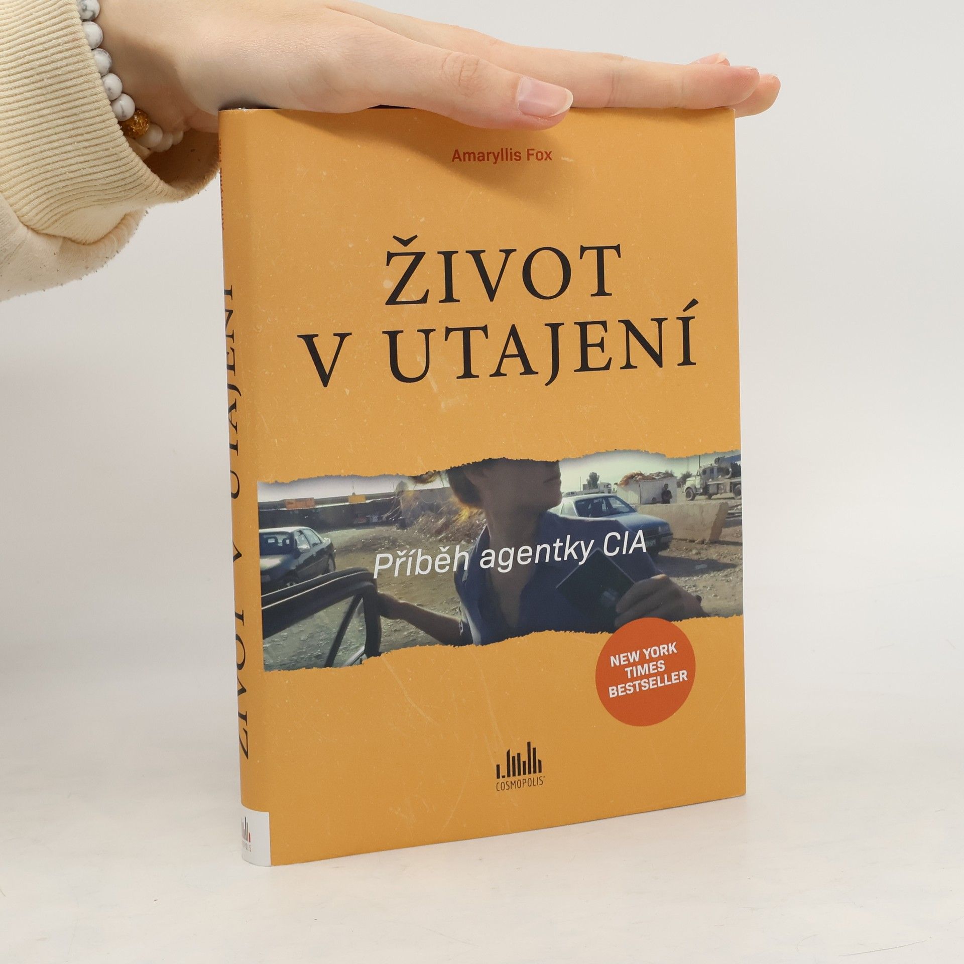 Život v utajení. Příběh agentky CIA