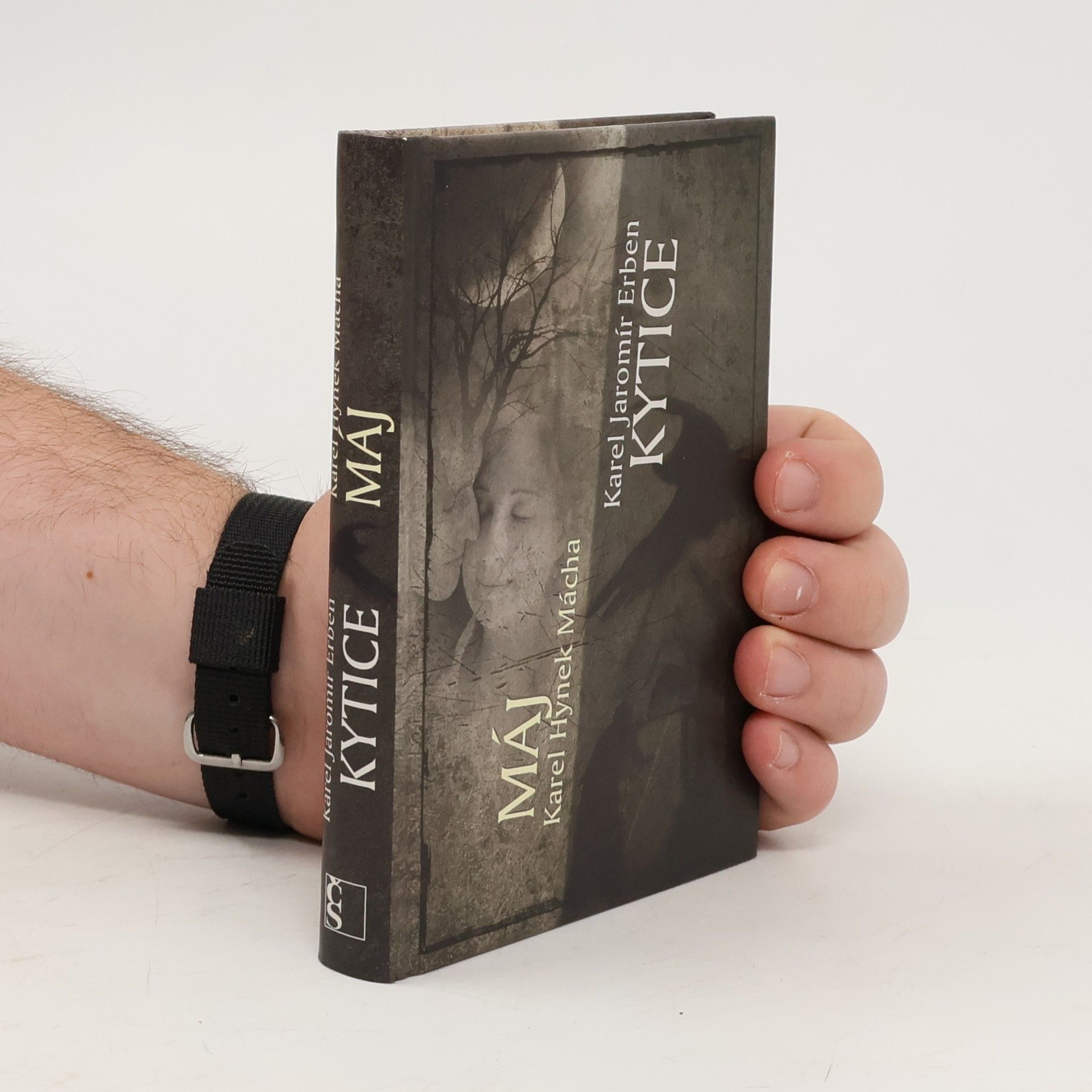 Karel Hynek Mácha Máj. Kytice