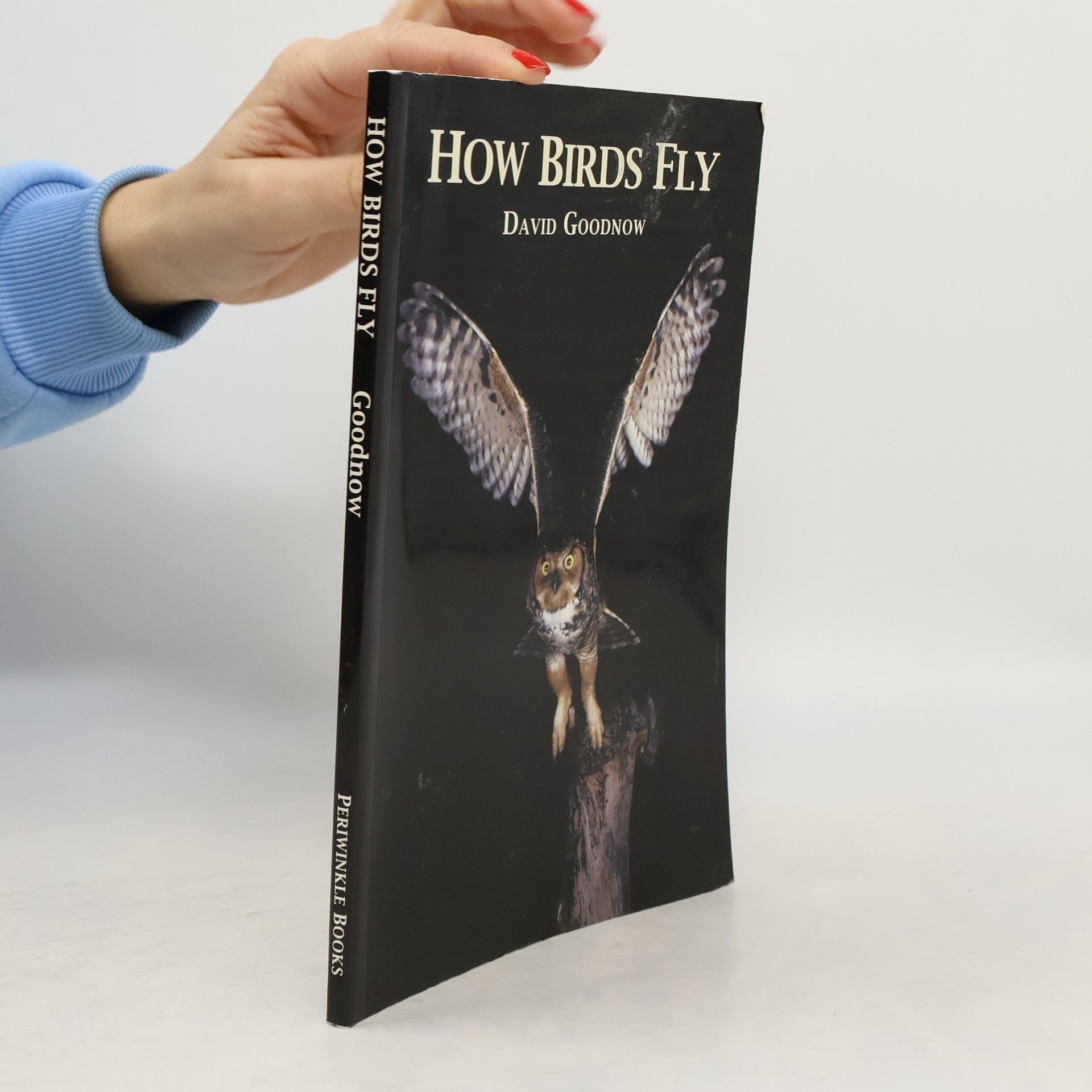 David Goodnow How Birds Fly