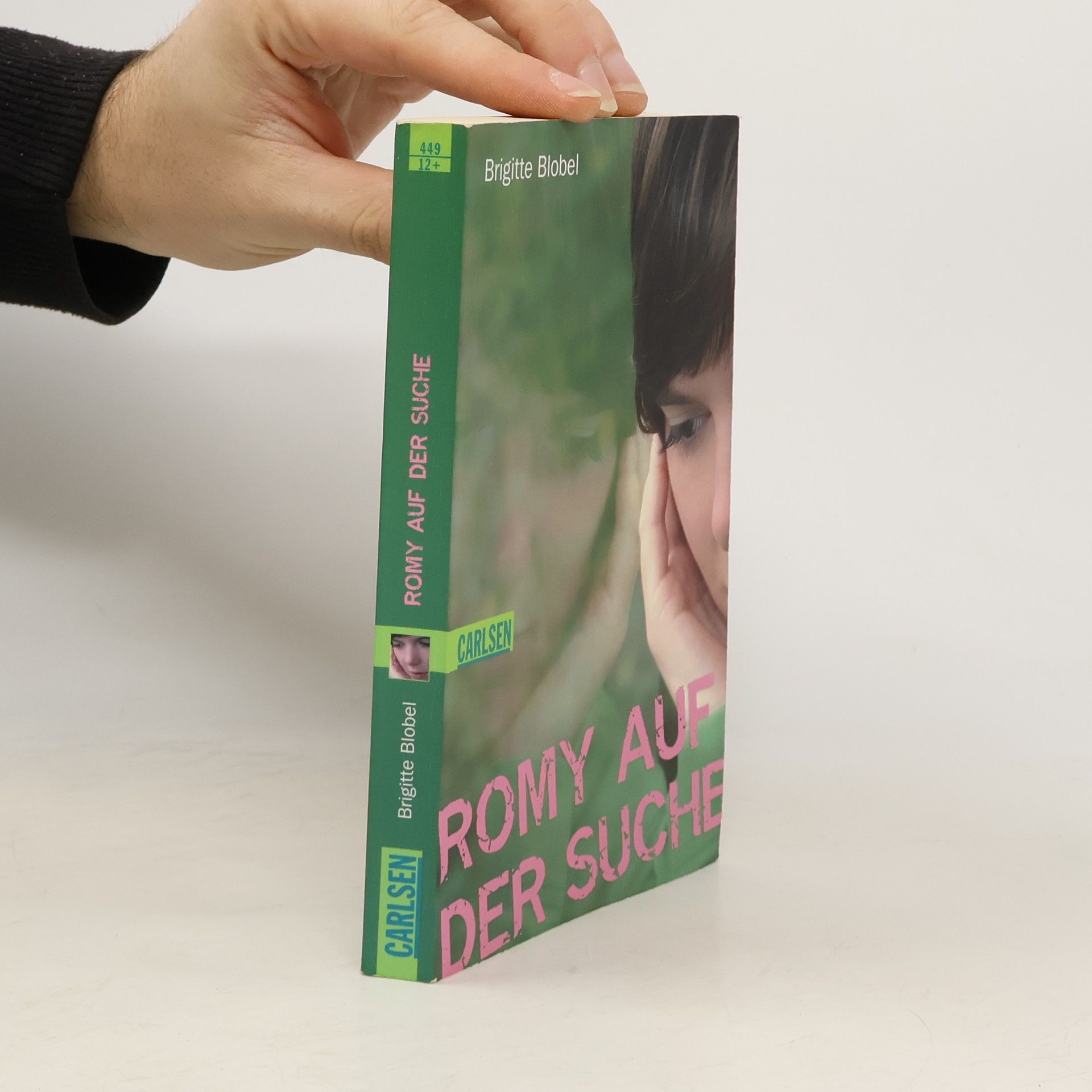 Brigitte Blobel Romy auf der Suche