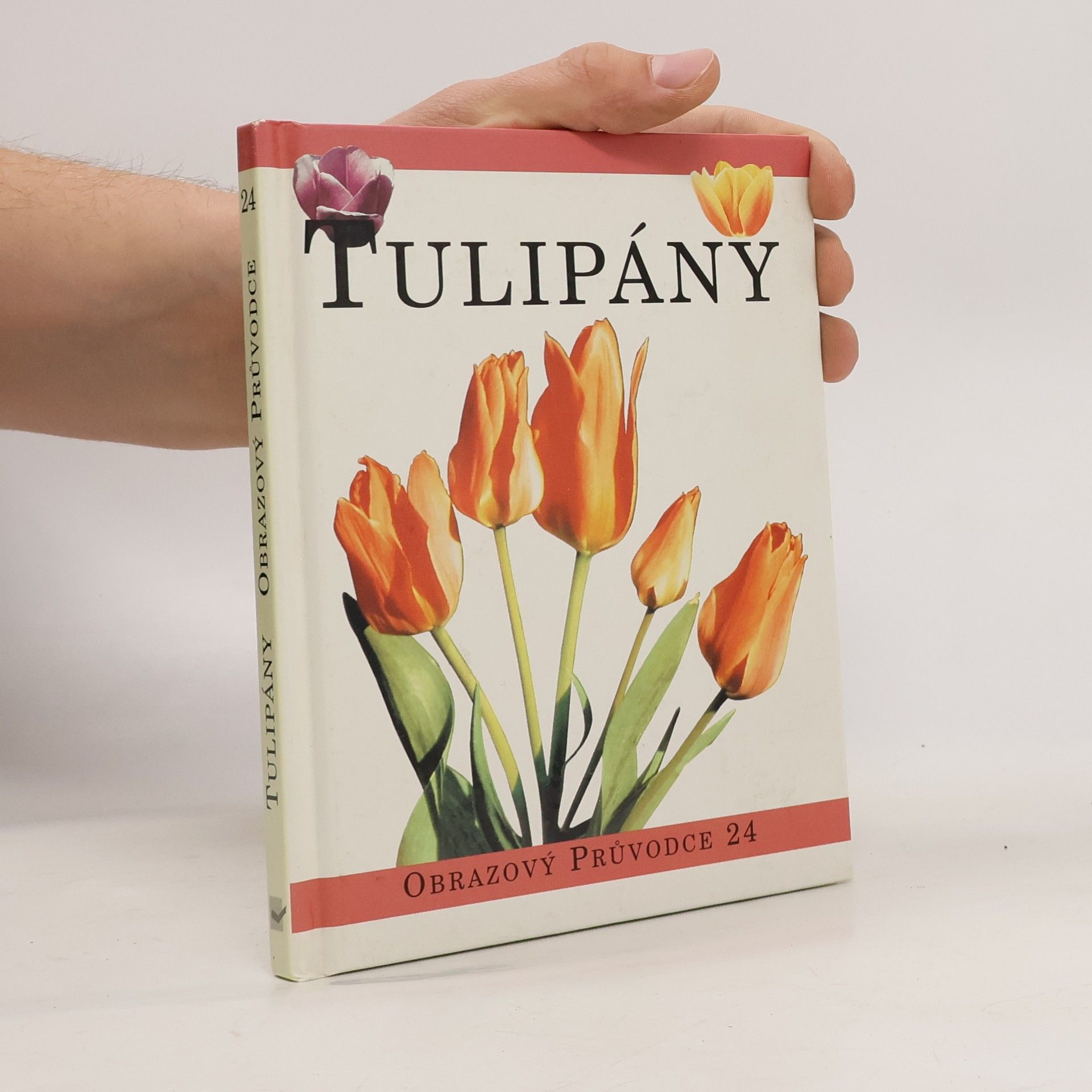 Kolektív autorov Tulipány