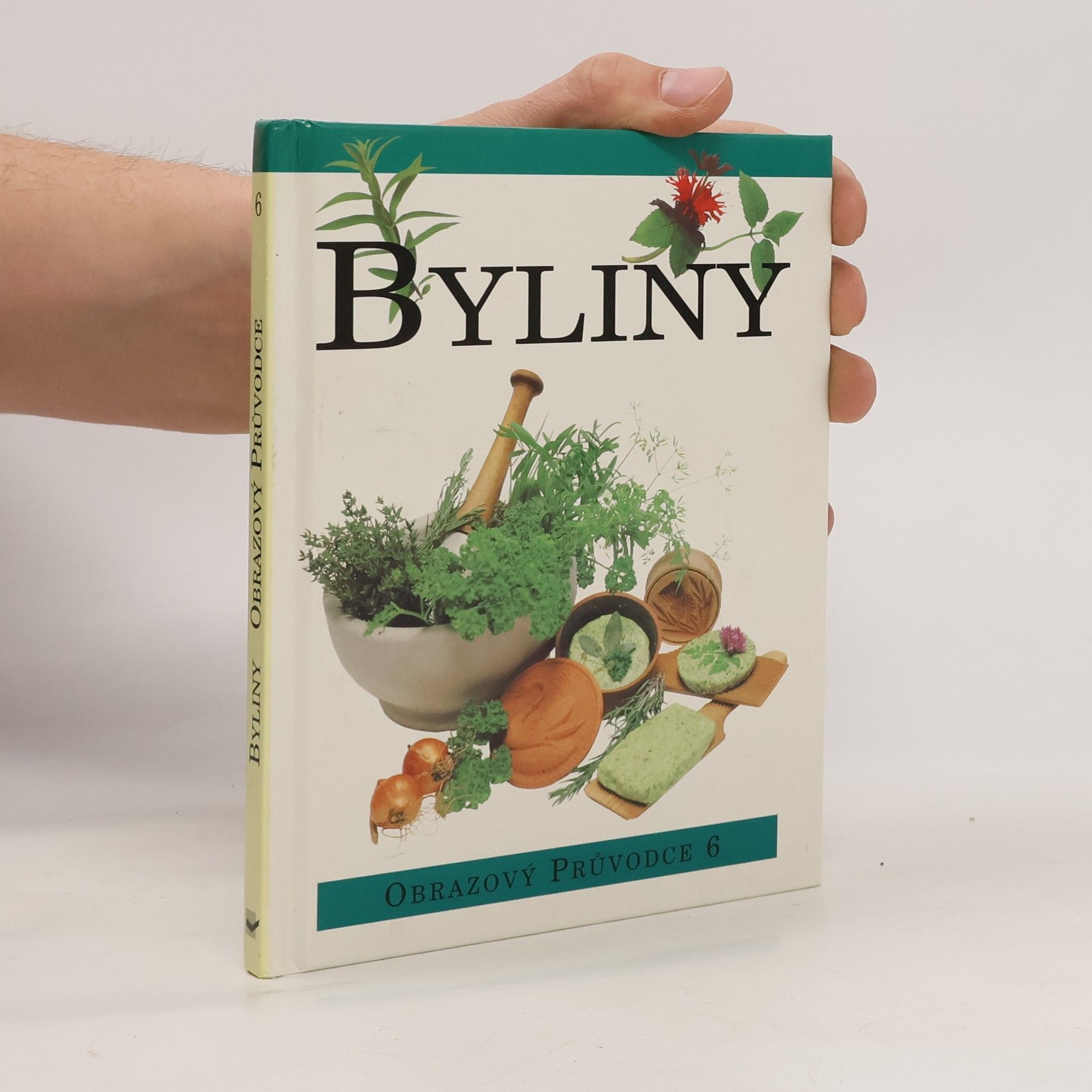 Magdalena Pechová Byliny