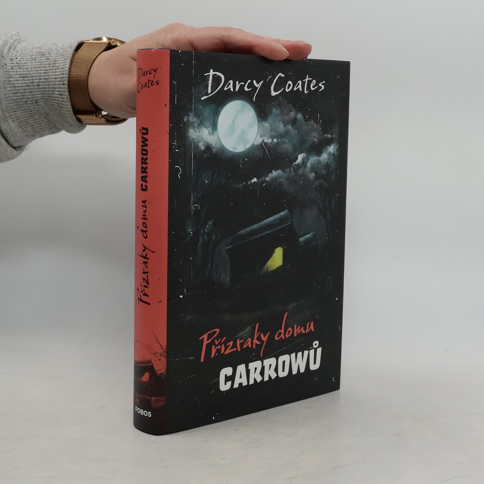 Darcy Coates Přízraky domu Carrowů