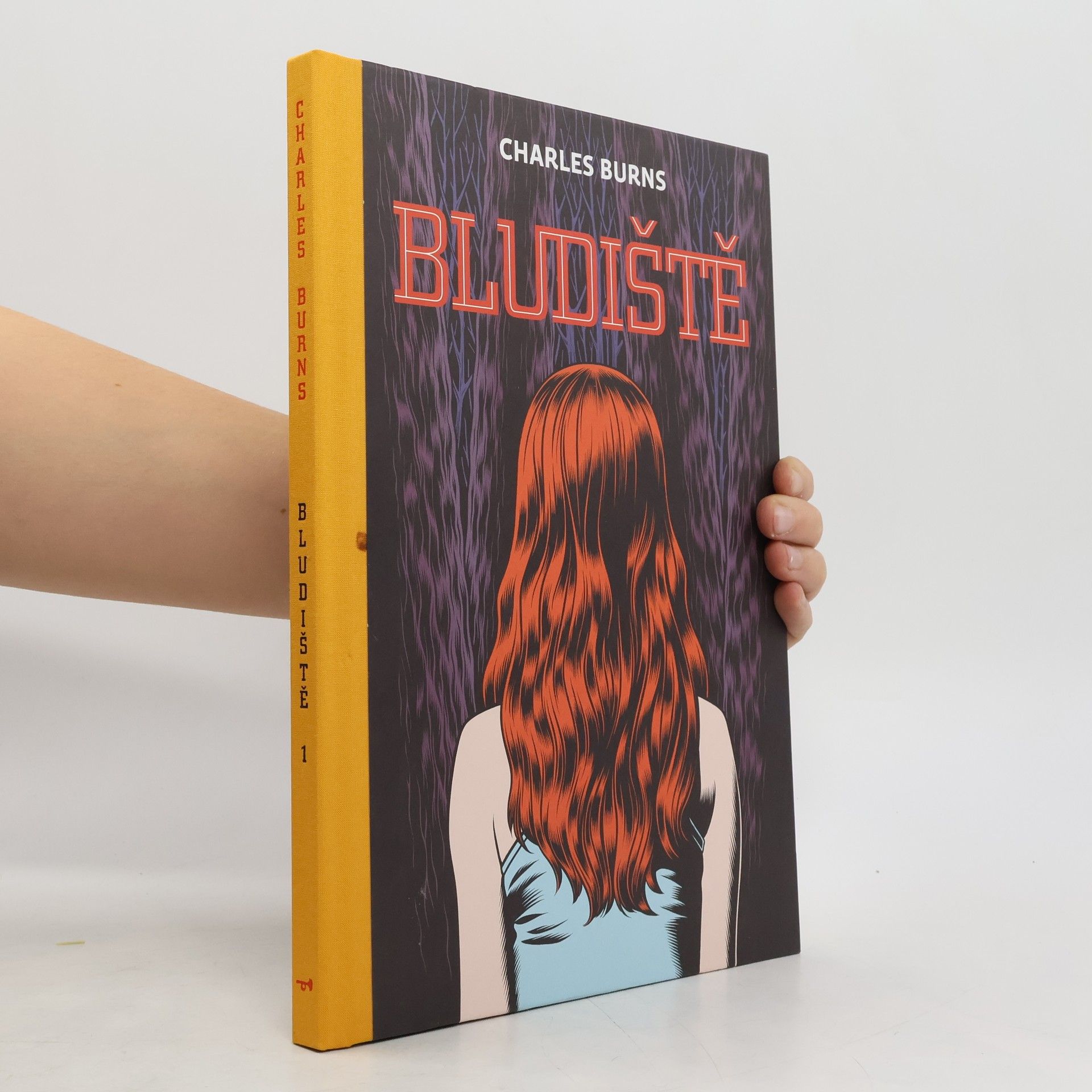 Charles Burns Bludiště 1