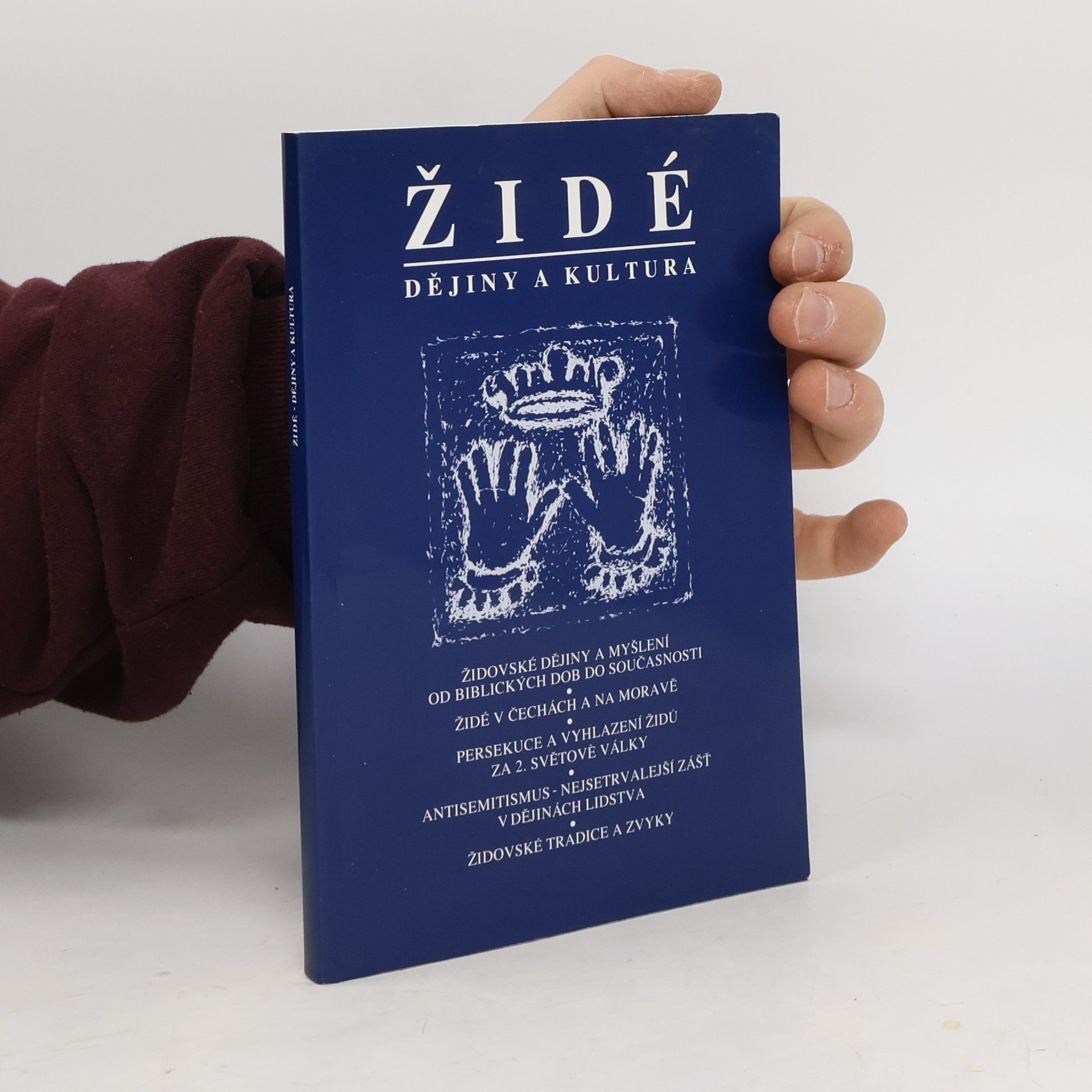 Autorenkollektiv Židé - dějiny a kultura