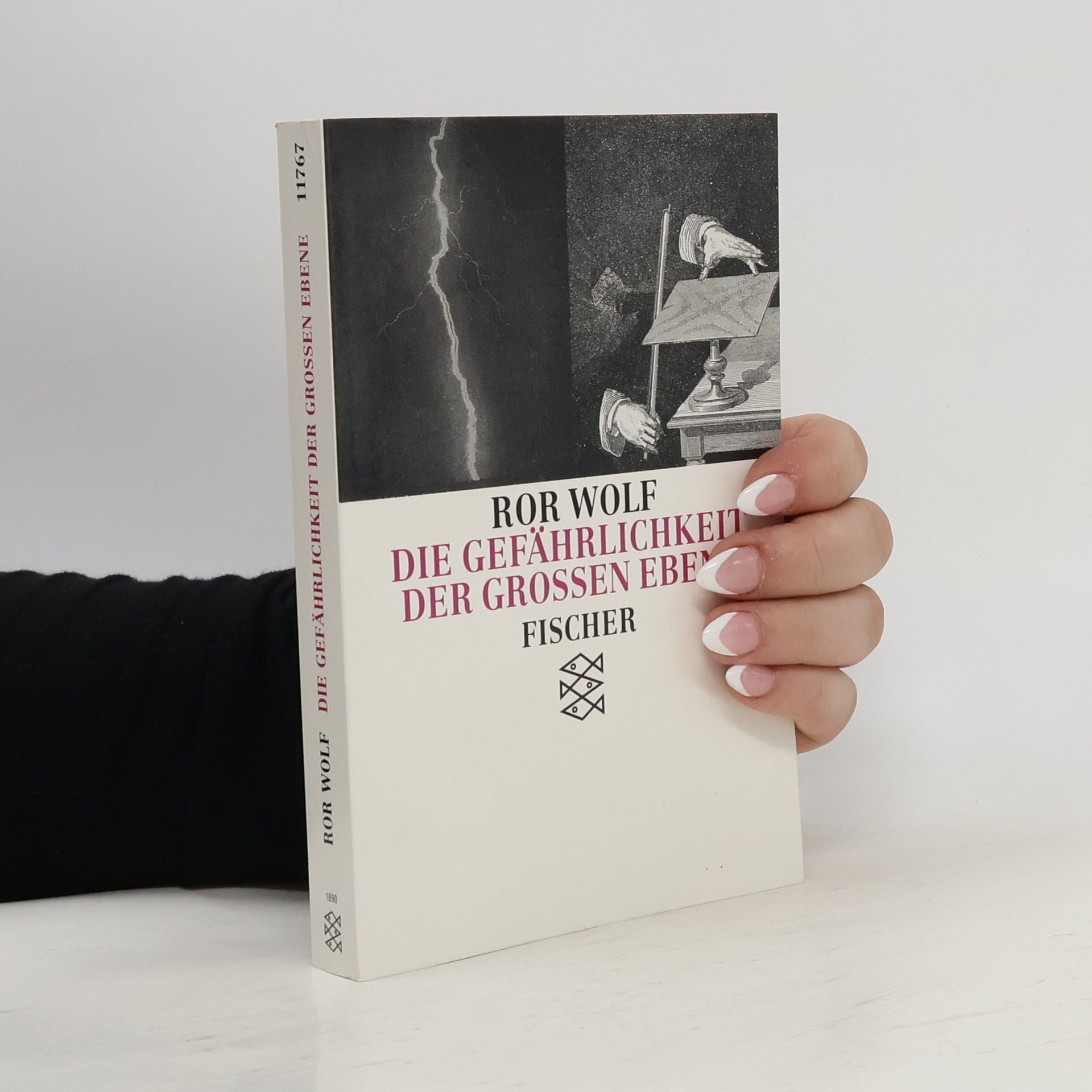 Ror Wolf Die Gefährlichkeit der großen Ebene