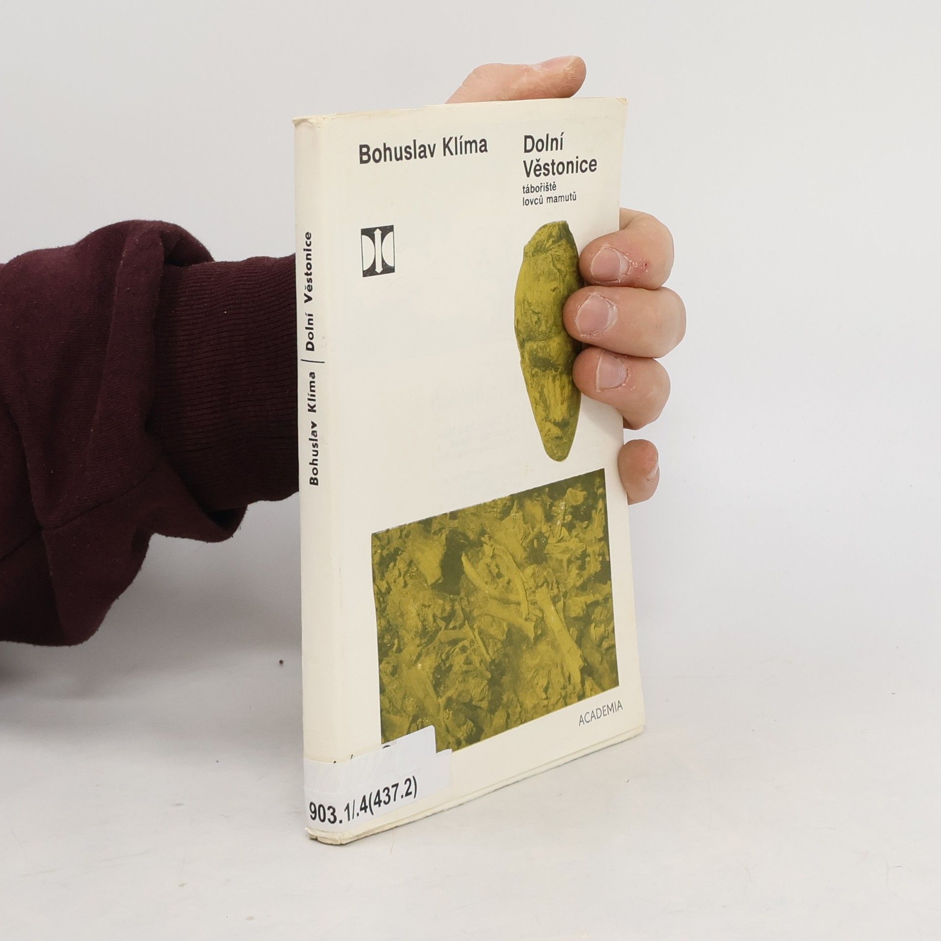 Dolní Věstonice. Tábořiště lovců mamutů