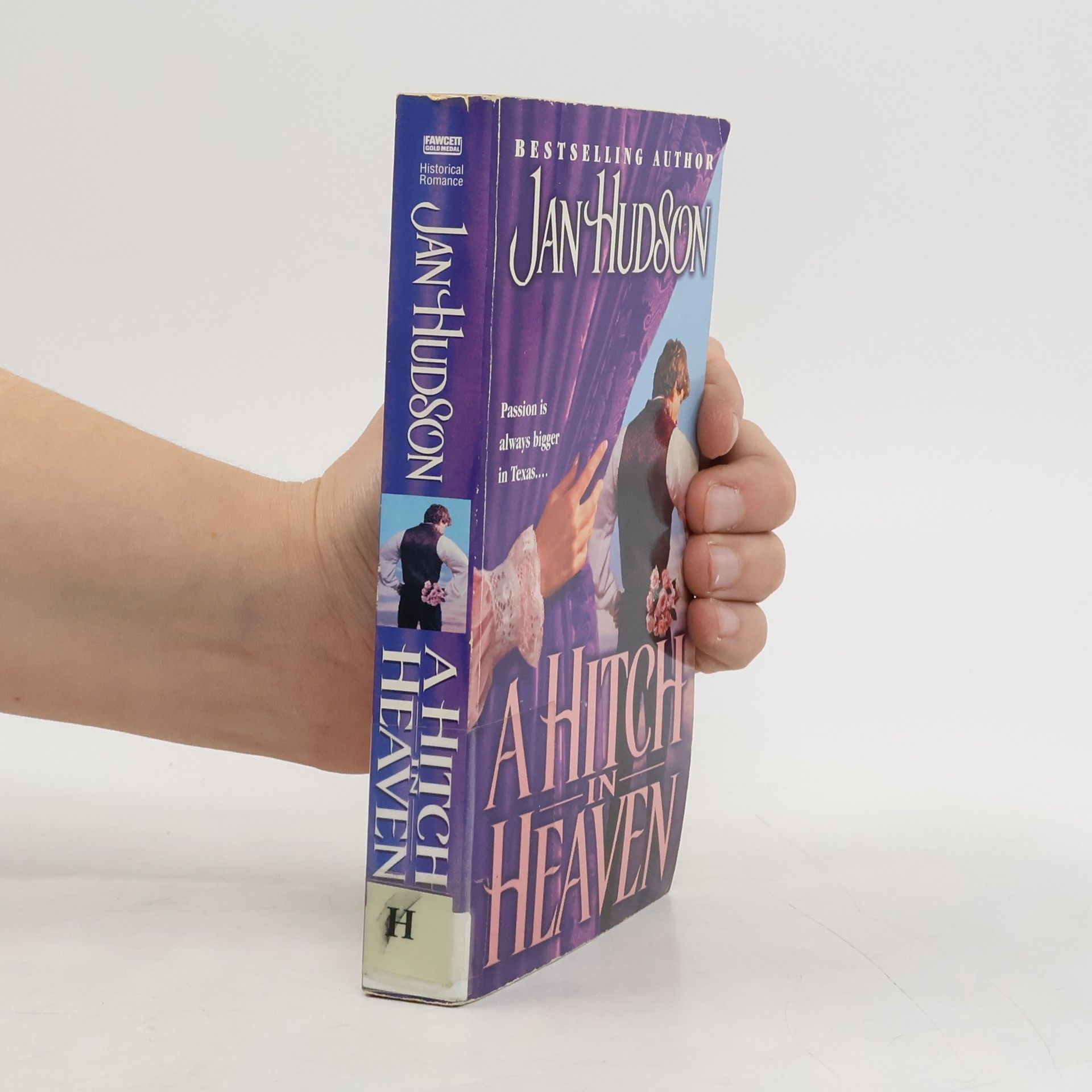 Jan Hudson A Hitch in Heaven