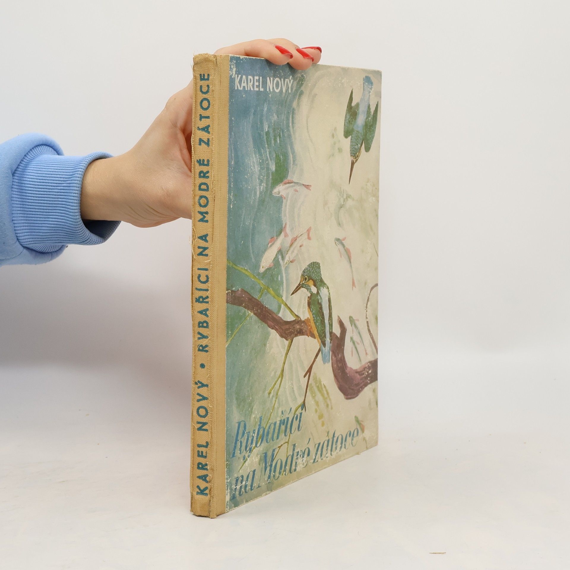 Karel Nový Rybaříci na Modré zátoce