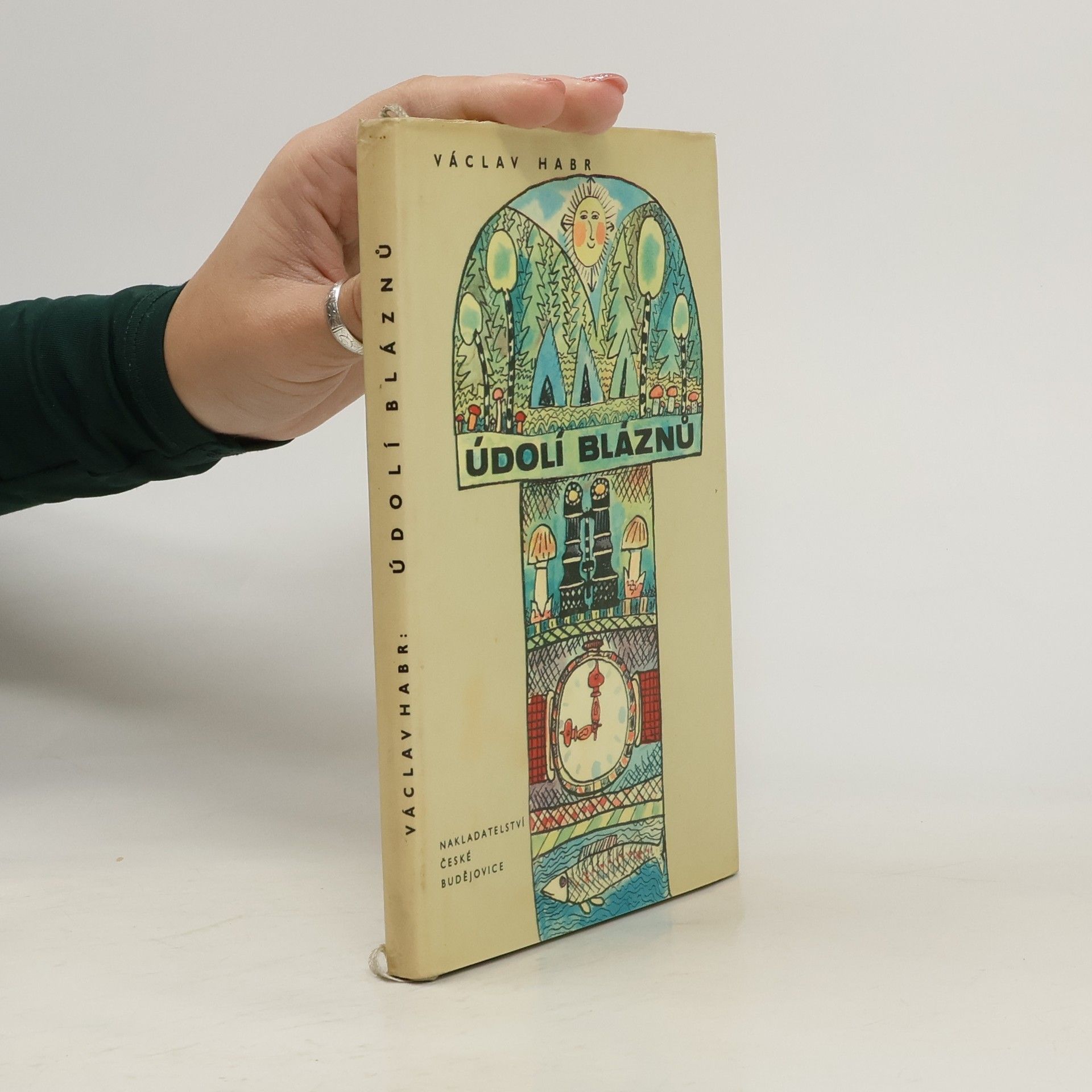 Václav Habr Údolí bláznů