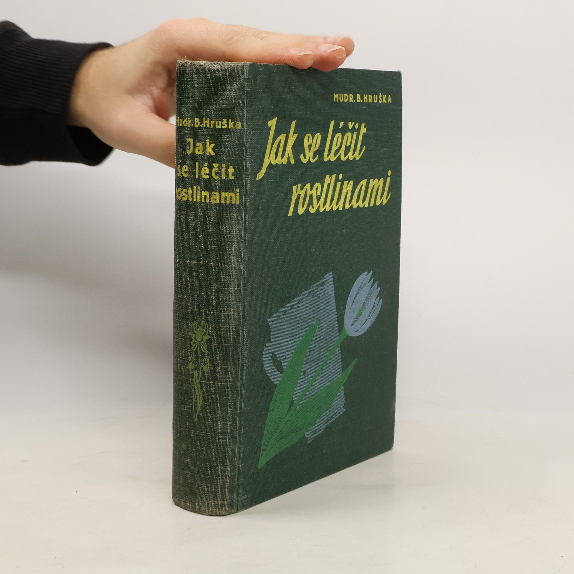 Blahoslav Hruška Jak se léčit rostlinami