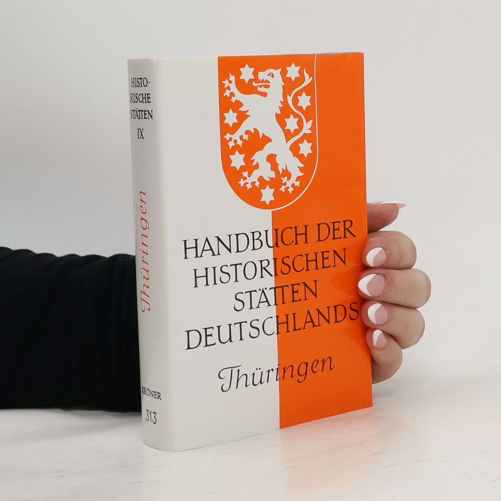 Autores varios Handbuch der historischen Stätten IX. Deutschlands 313