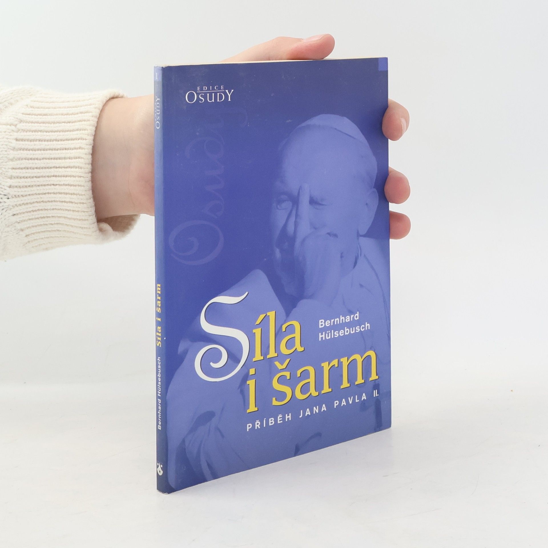 Bernhard Hülsebusch Síla i šarm