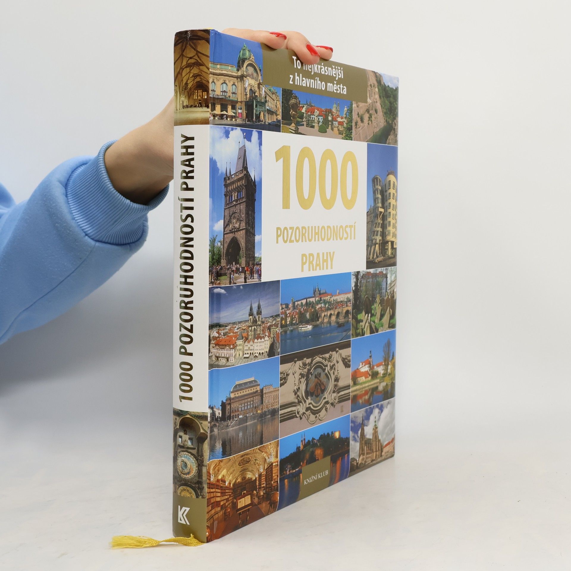 Petr David 1000 pozoruhodností Prahy