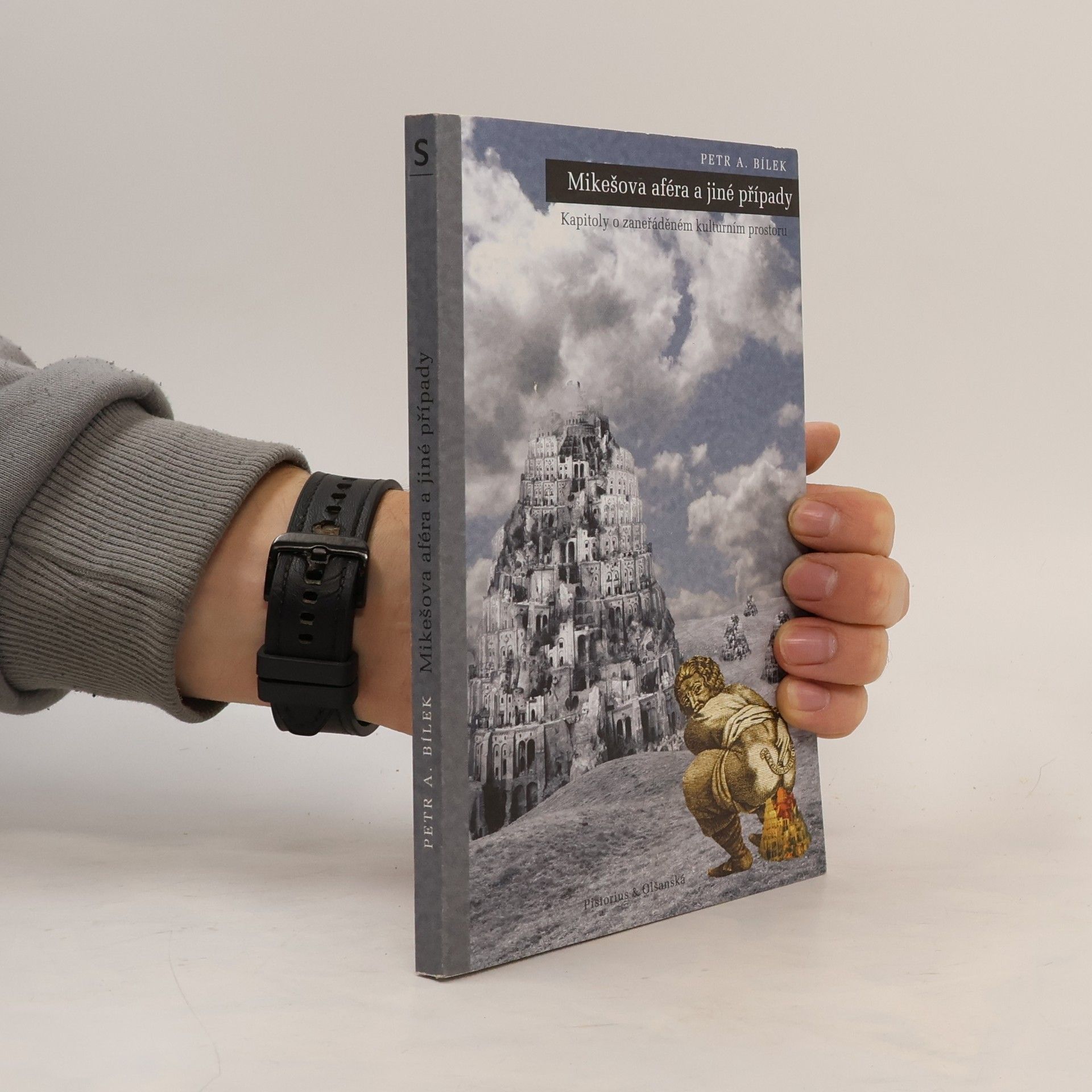 Mikešova aféra a jiné případy. Kapitoly o zaneřáděném kulturním prostoru