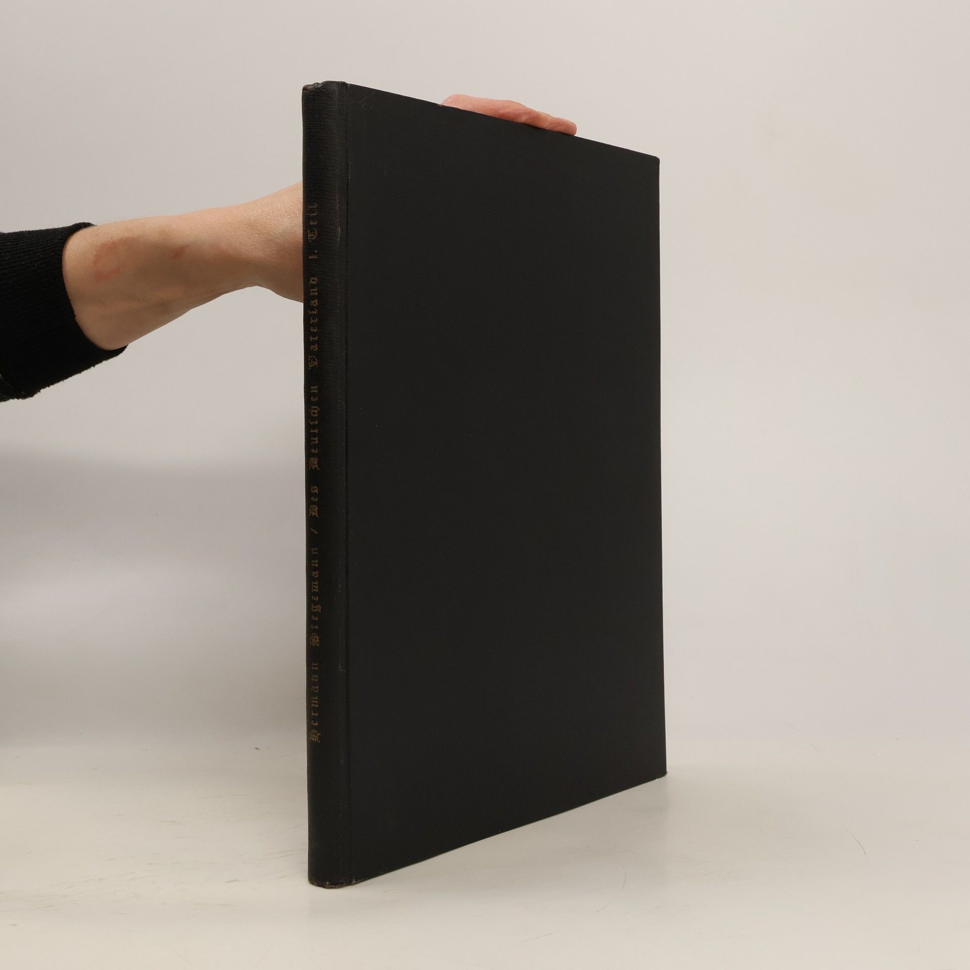 Hermann Stegemann Des Deutschen Vaterland. 1. Teil