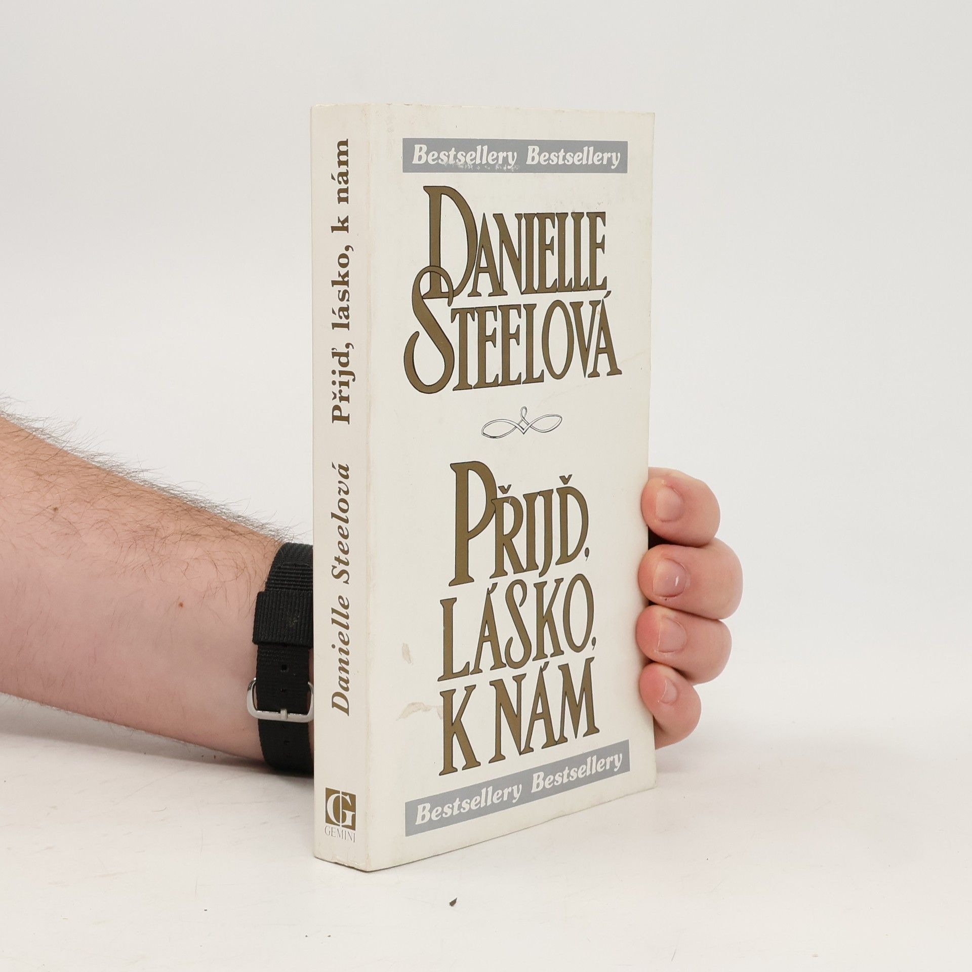 Danielle Steel Přijď, lásko, k nám