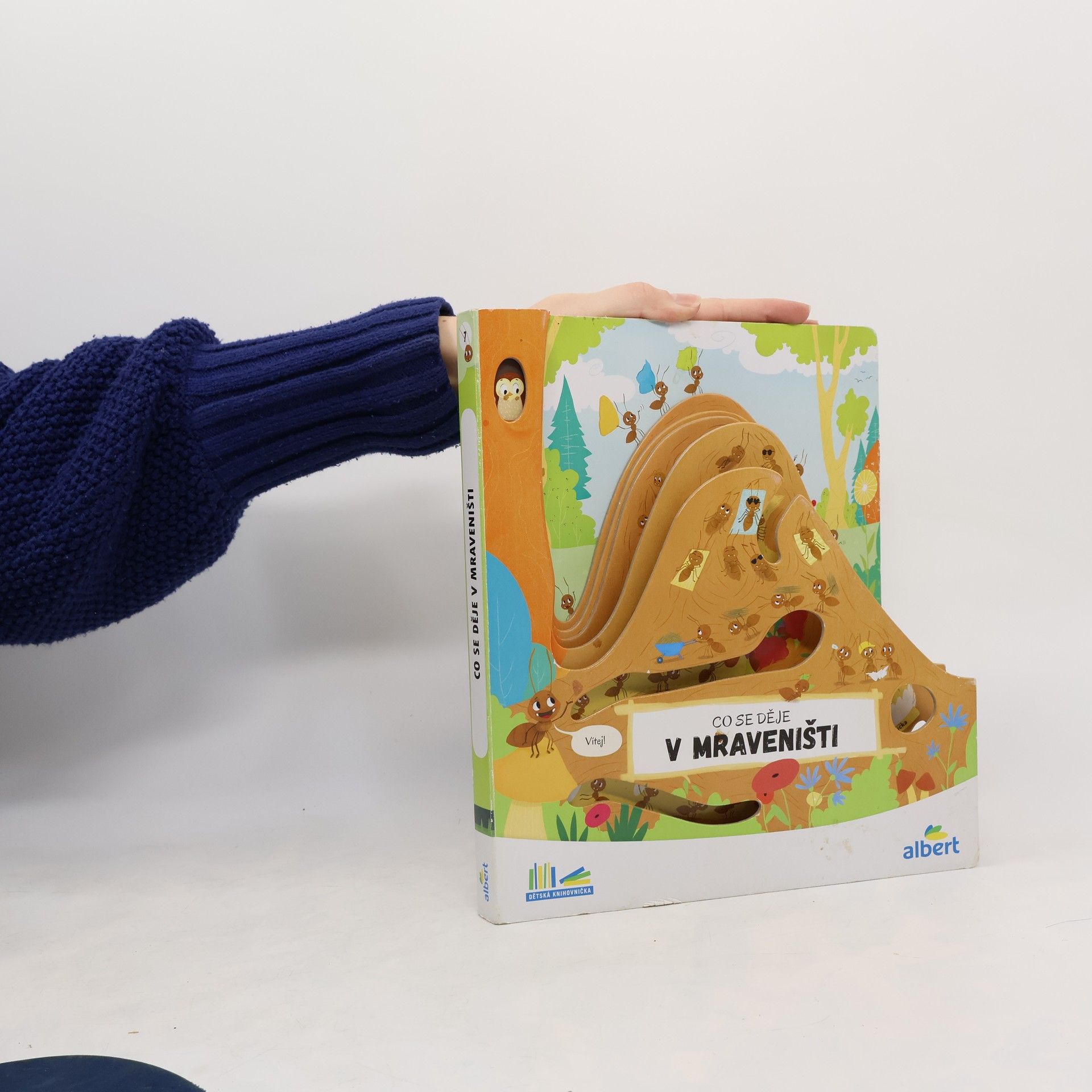 Collectif d'auteurs Co se děje v mraveništi