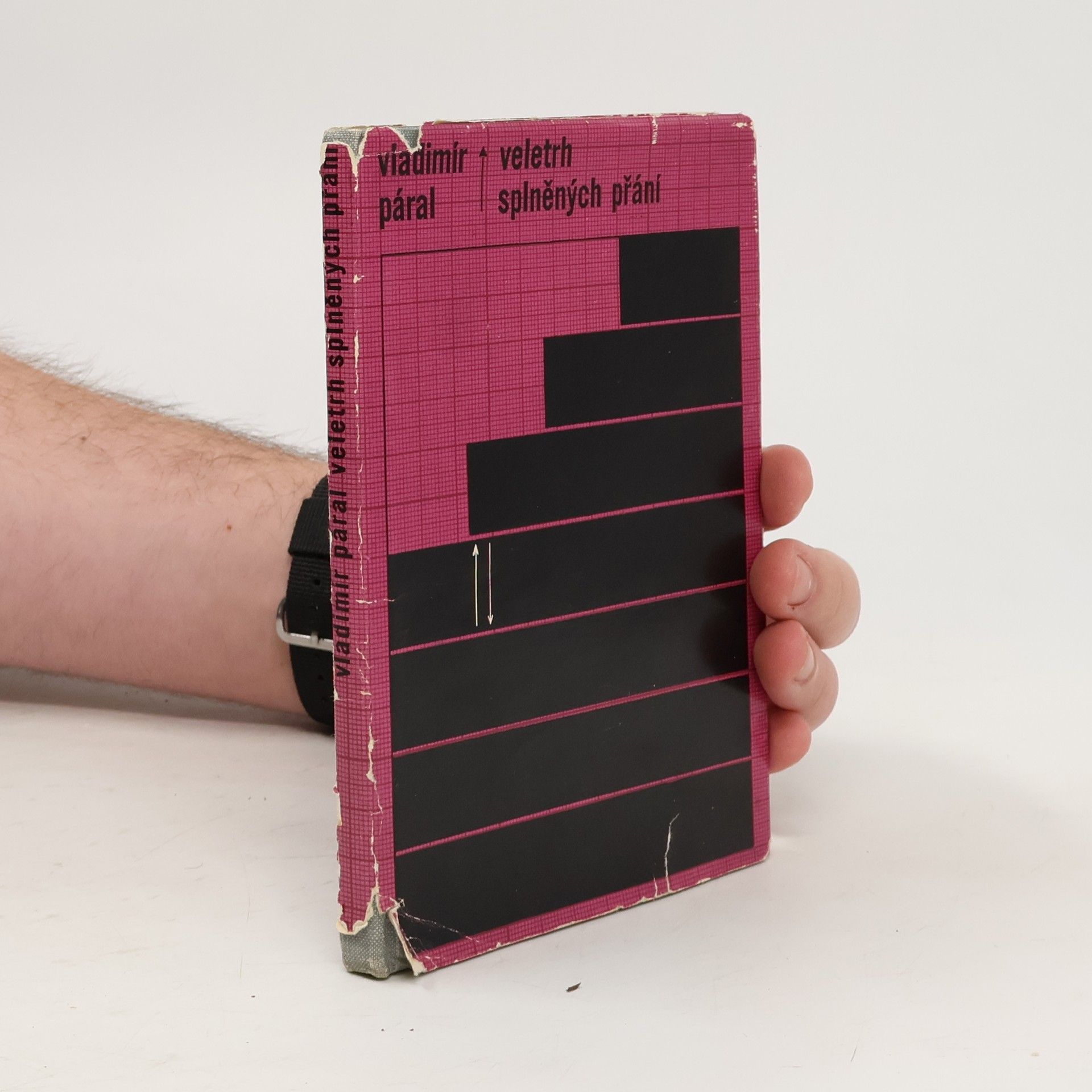 Vladimír Páral Veletrh splněných přání. Příběh pokleslé aktivity