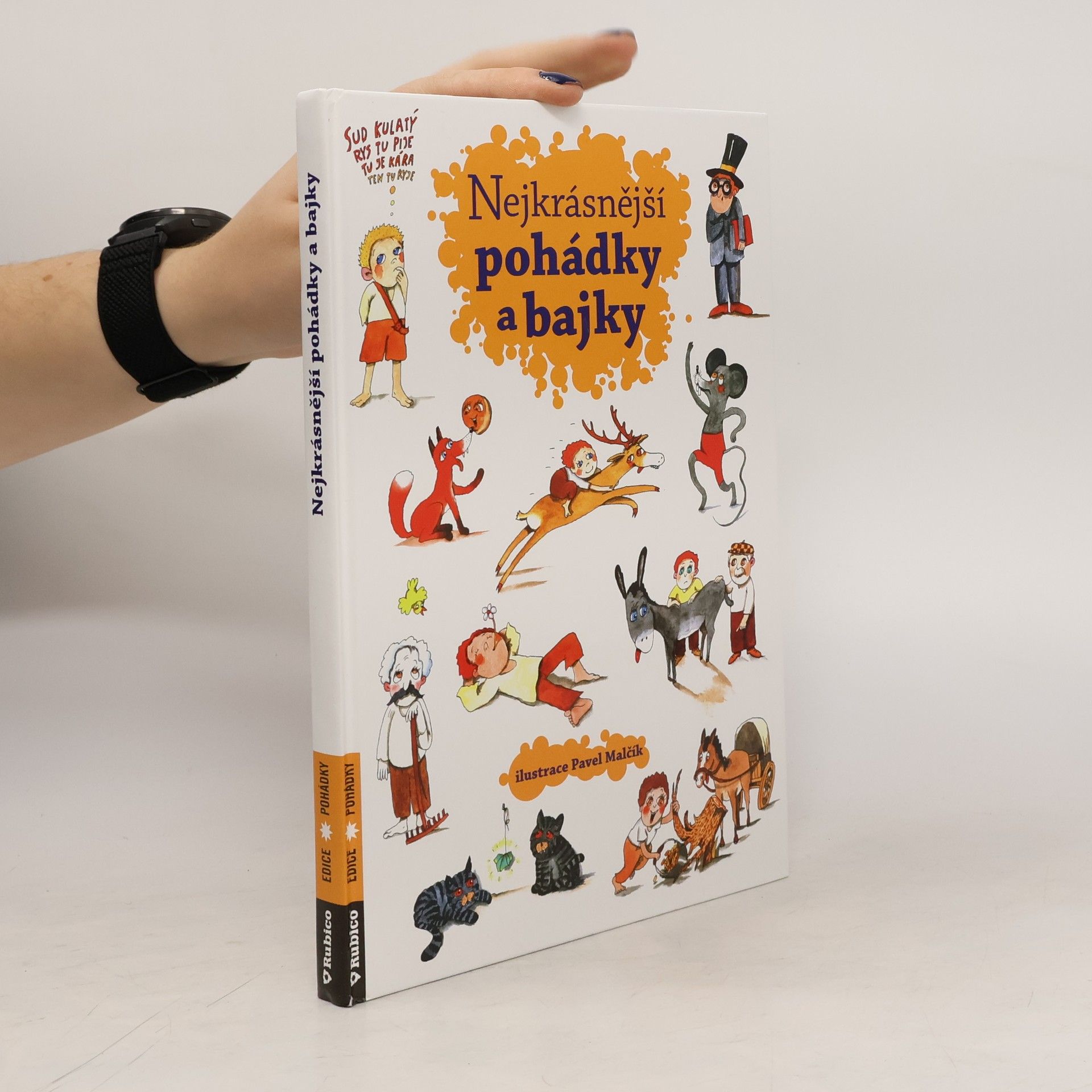 Kolektiv autorů Nejkrásnější pohádky a bajky