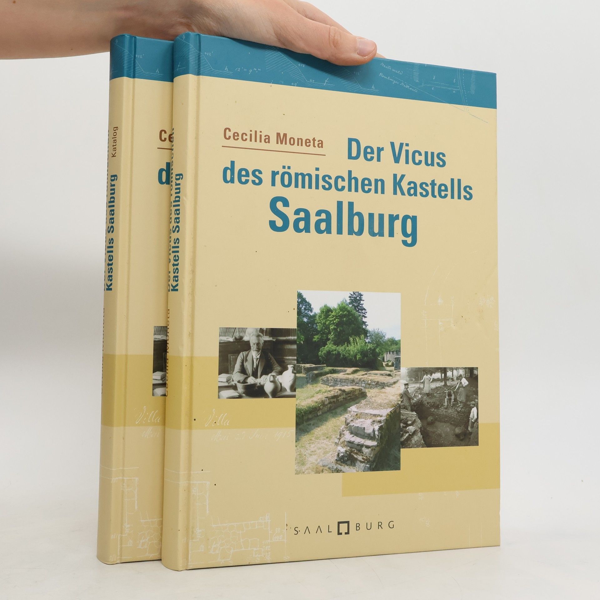 Cecilia Moneta Der Vicus des römischen Kastells Saalburg. Text und Katalog
