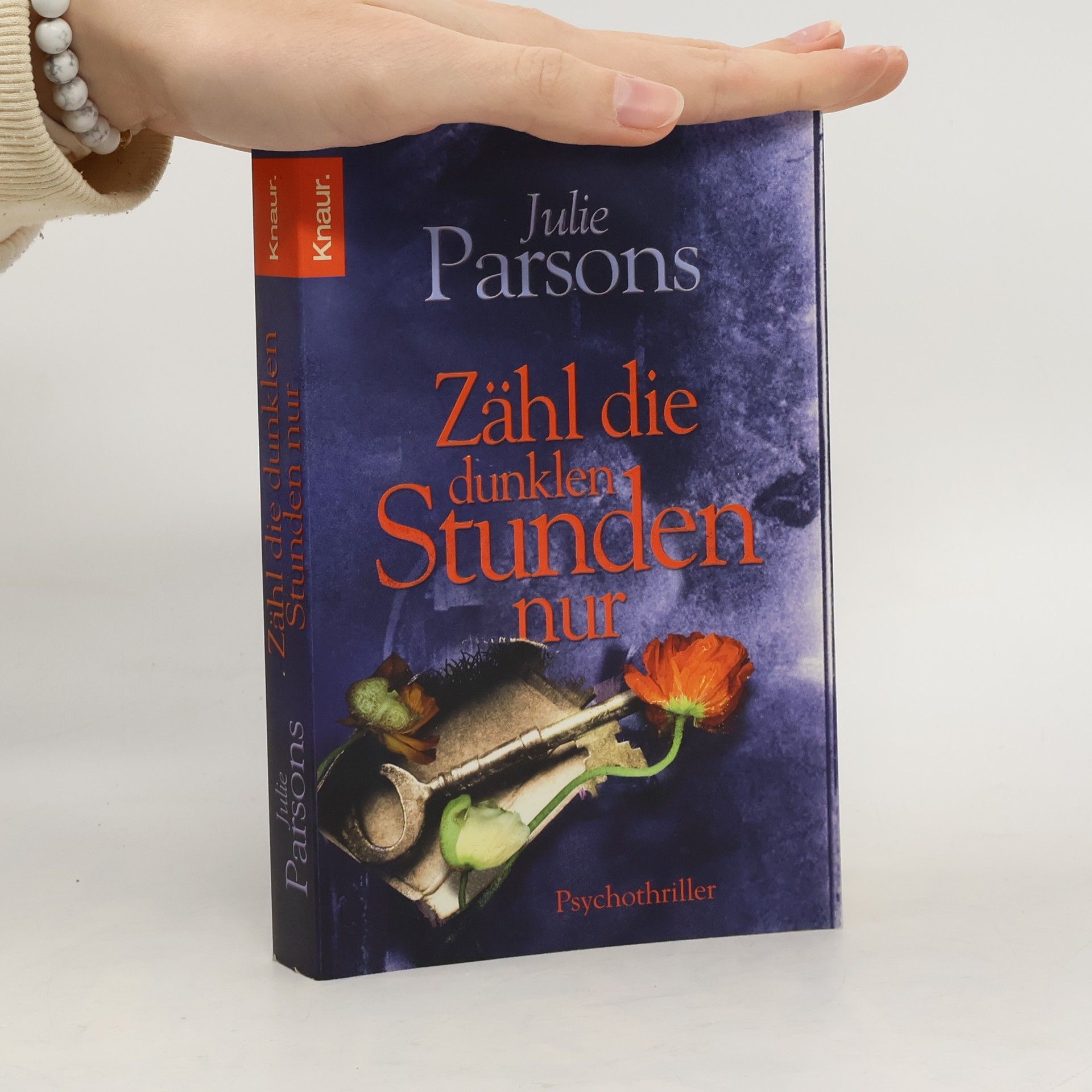 Julie Parsons Zähl die dunklen Stunden nur