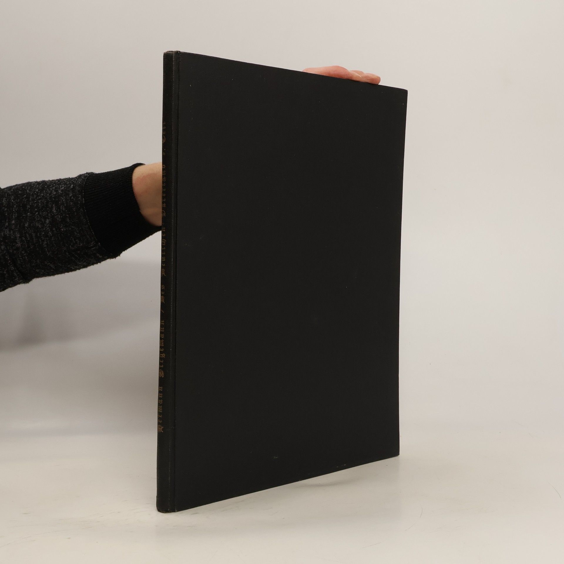 Hermann Stegemann Des deutschen Vaterland 3. Teil