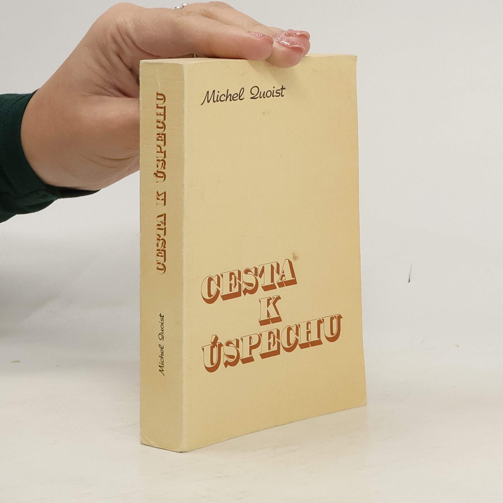 Michel Luoist Cesta k úspechu