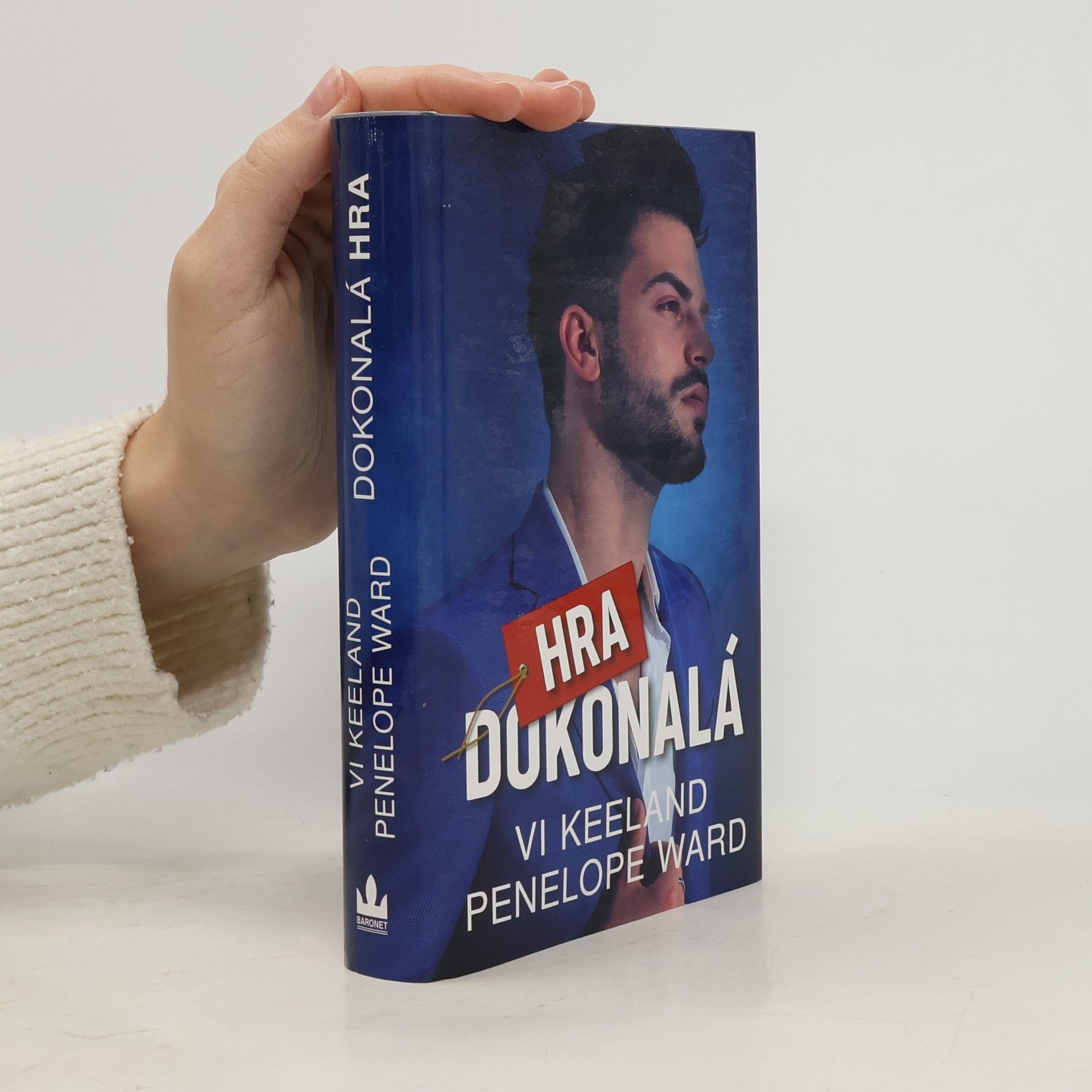 Vi Keeland Dokonalá hra